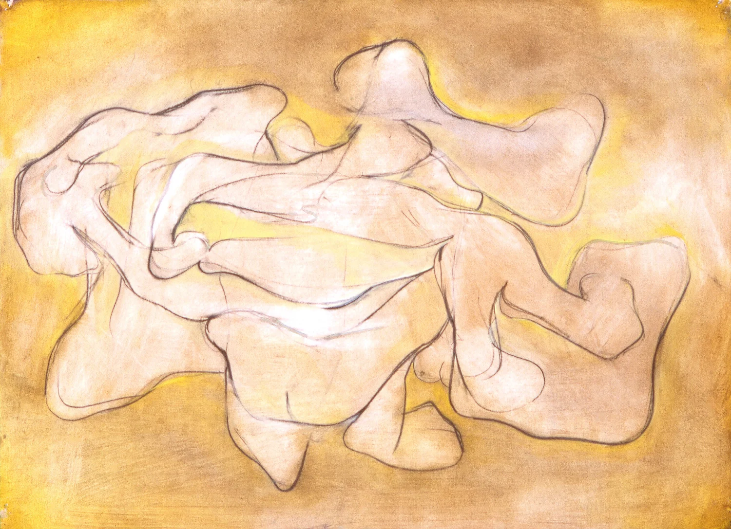 Untitled , 2004 Oil on paper 24 x 36"