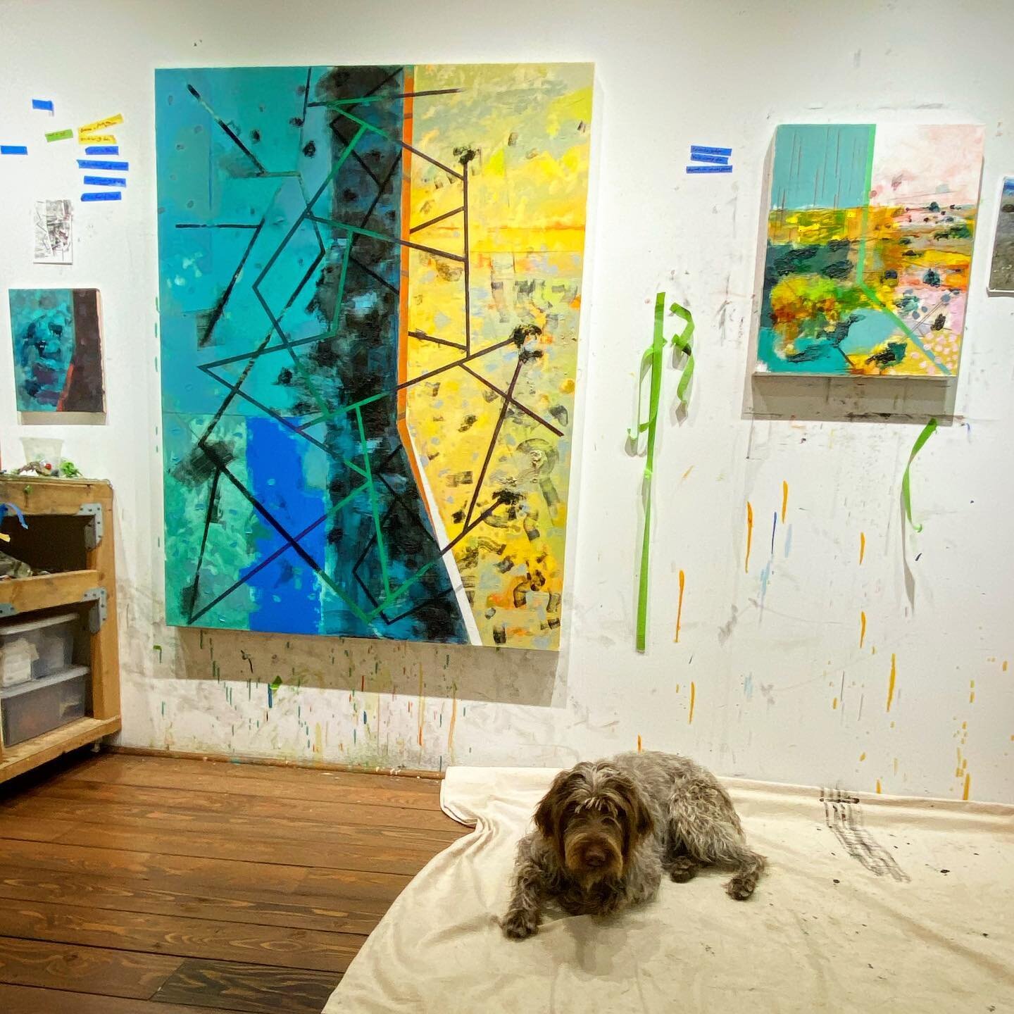 #studiodog #contemporaryart #abstractpainting #griffology #seattleartist