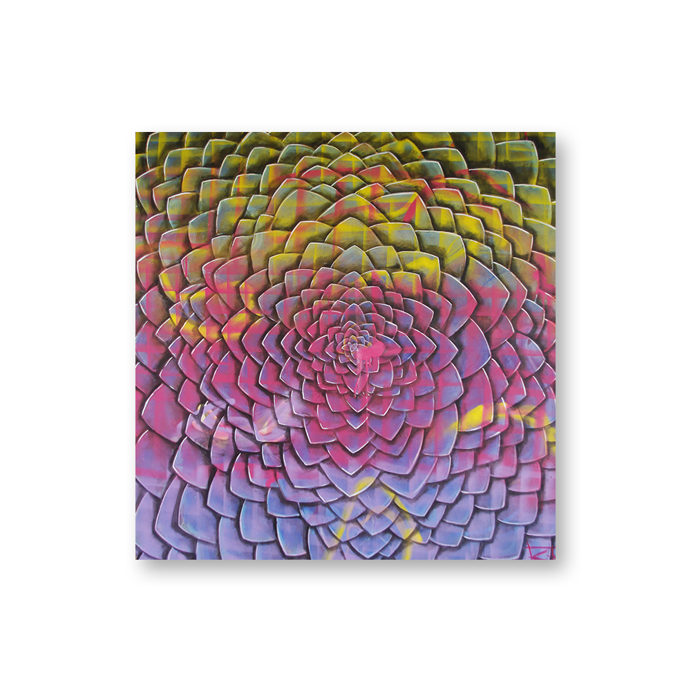 lotus.png