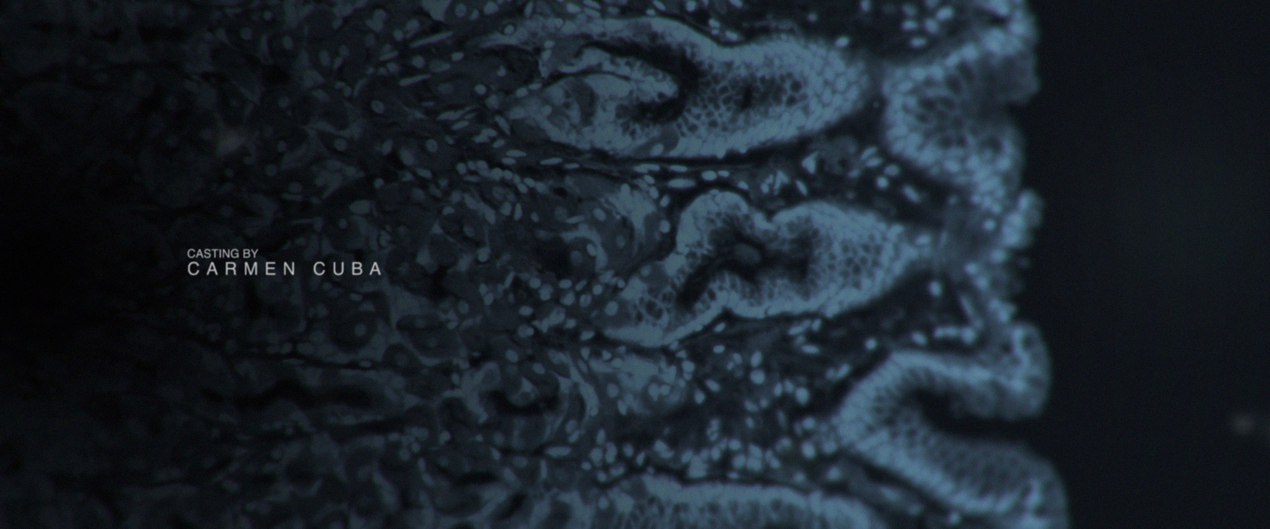 4_cell_close_00000.png