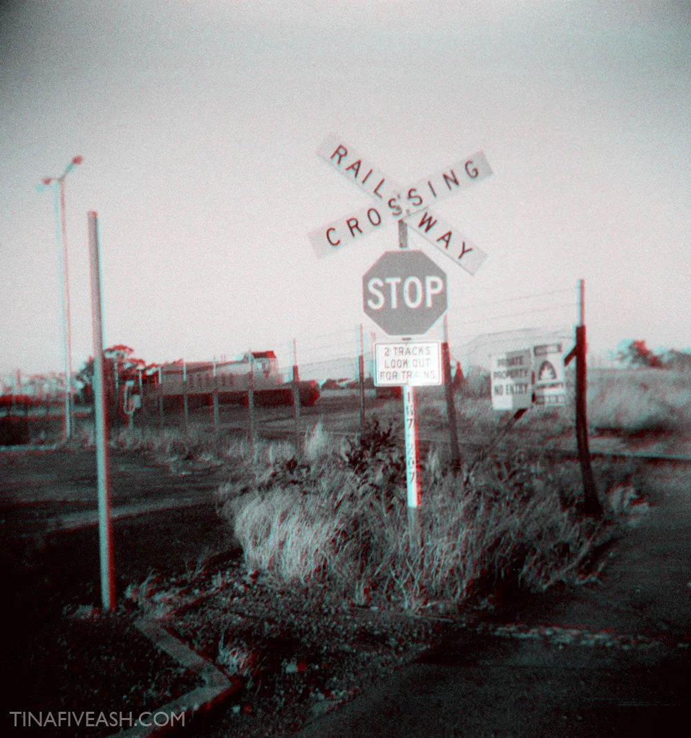 VIRTUAL-CROSSING.jpg