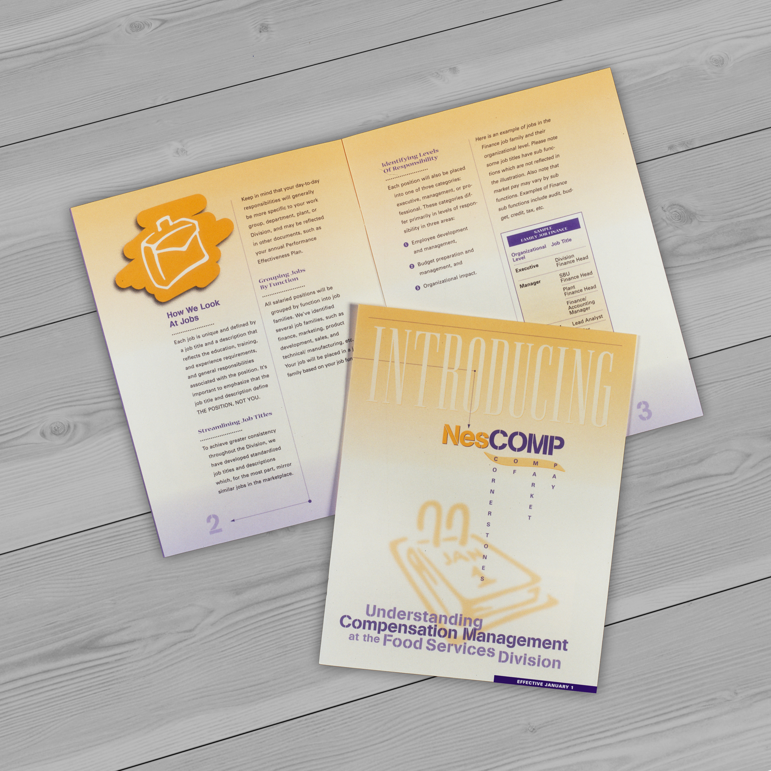 NES_NesComp_Brochure.jpg