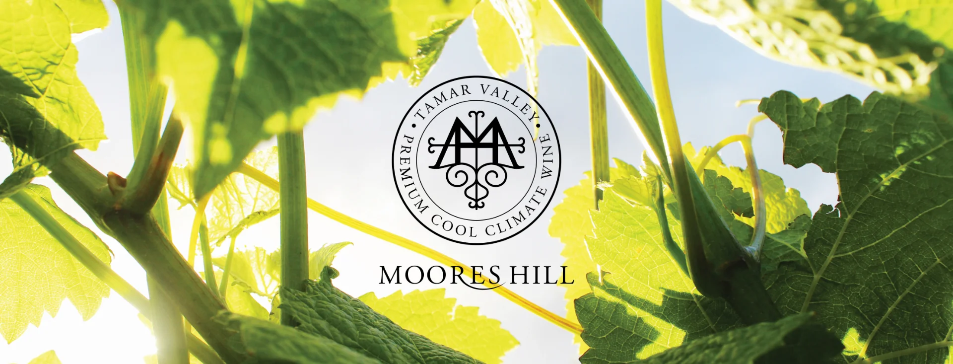 Visit us at the Taste of Tasmania