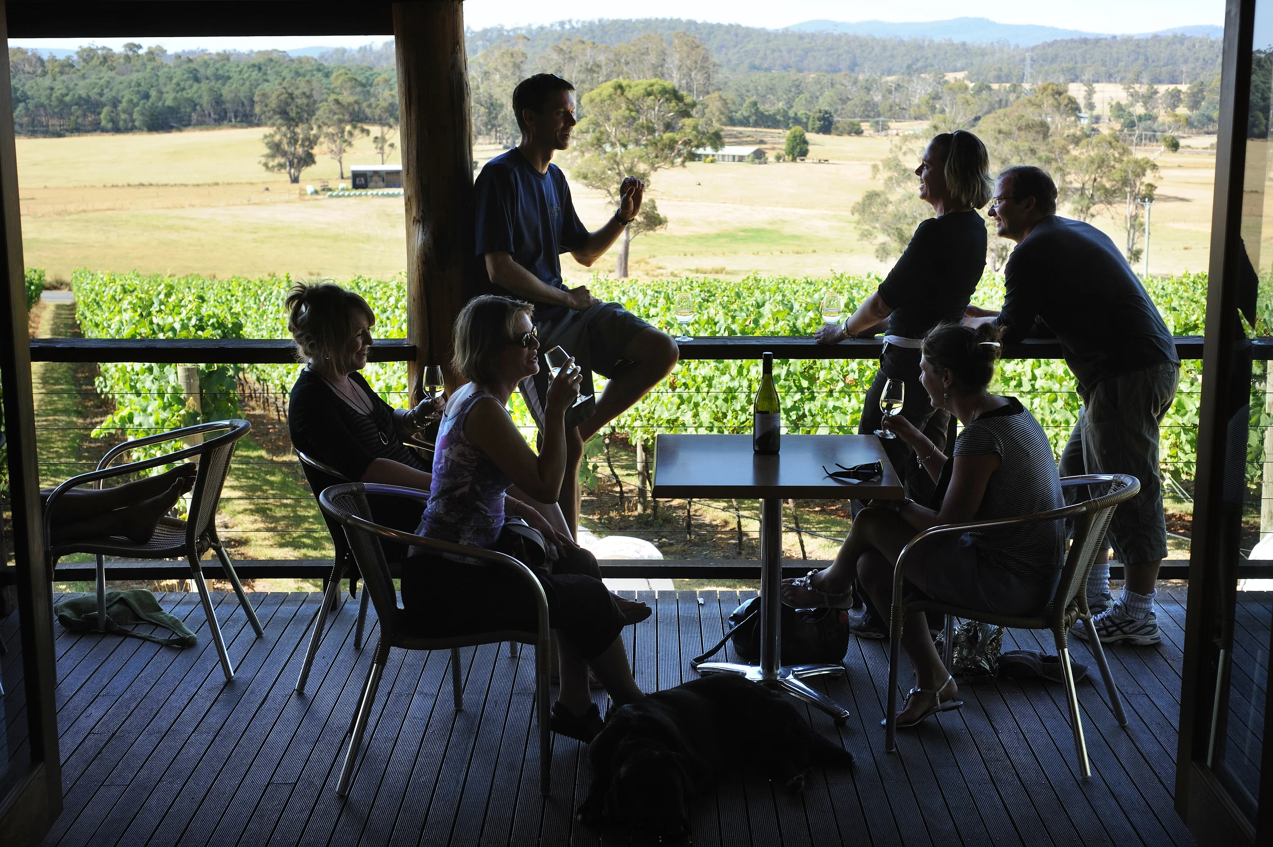 Tamar Valley Wines 101