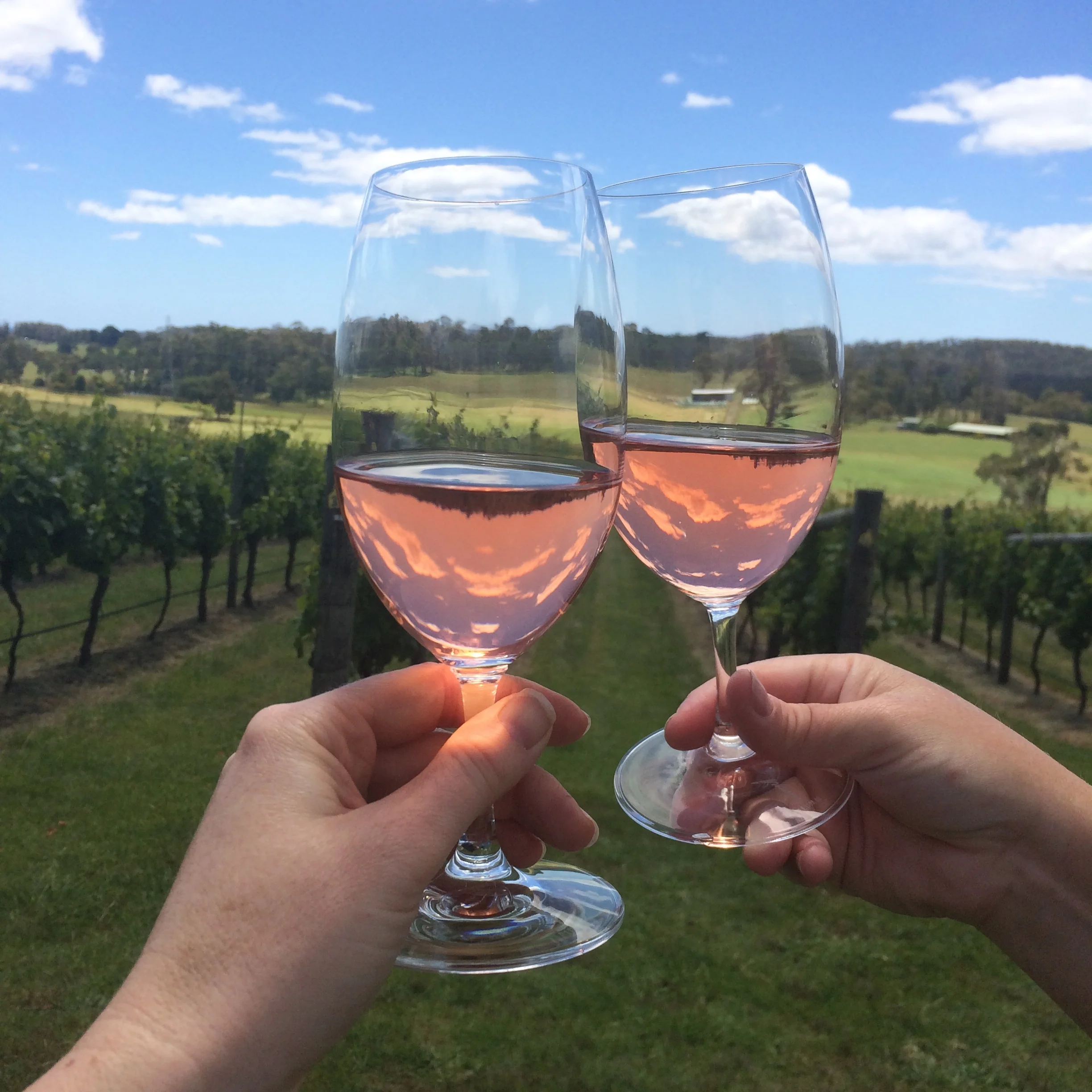 Pinot Rosé 2016