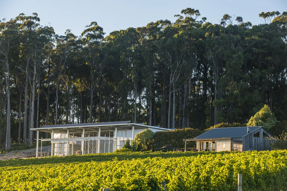 Our winery &amp; cellar door