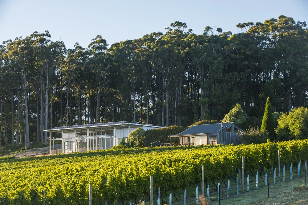 Our winery and cellar door