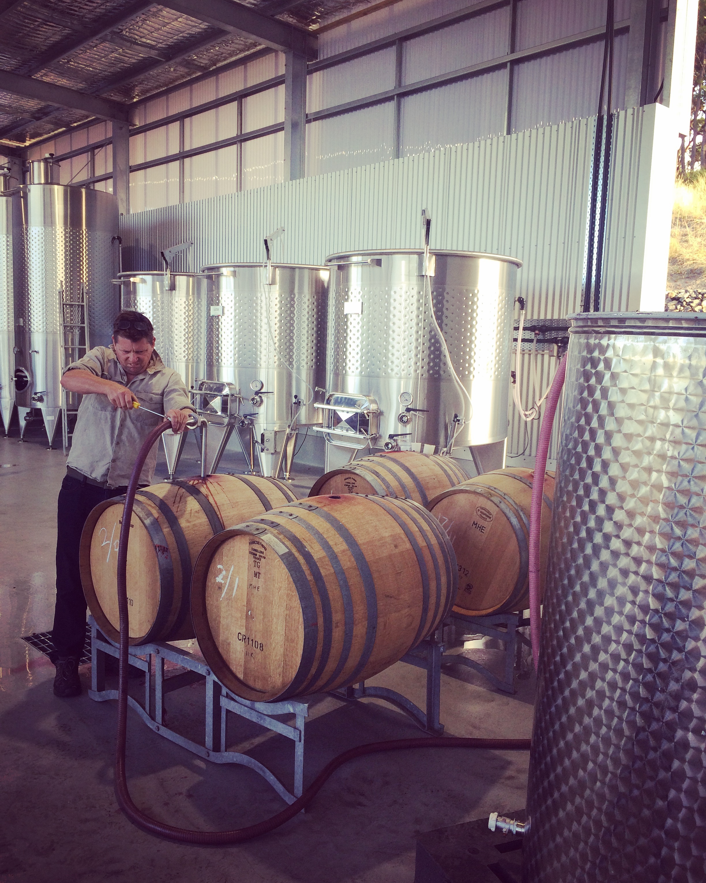 Putting the first batch of Pinot Noir to barrel for Vintage 2017