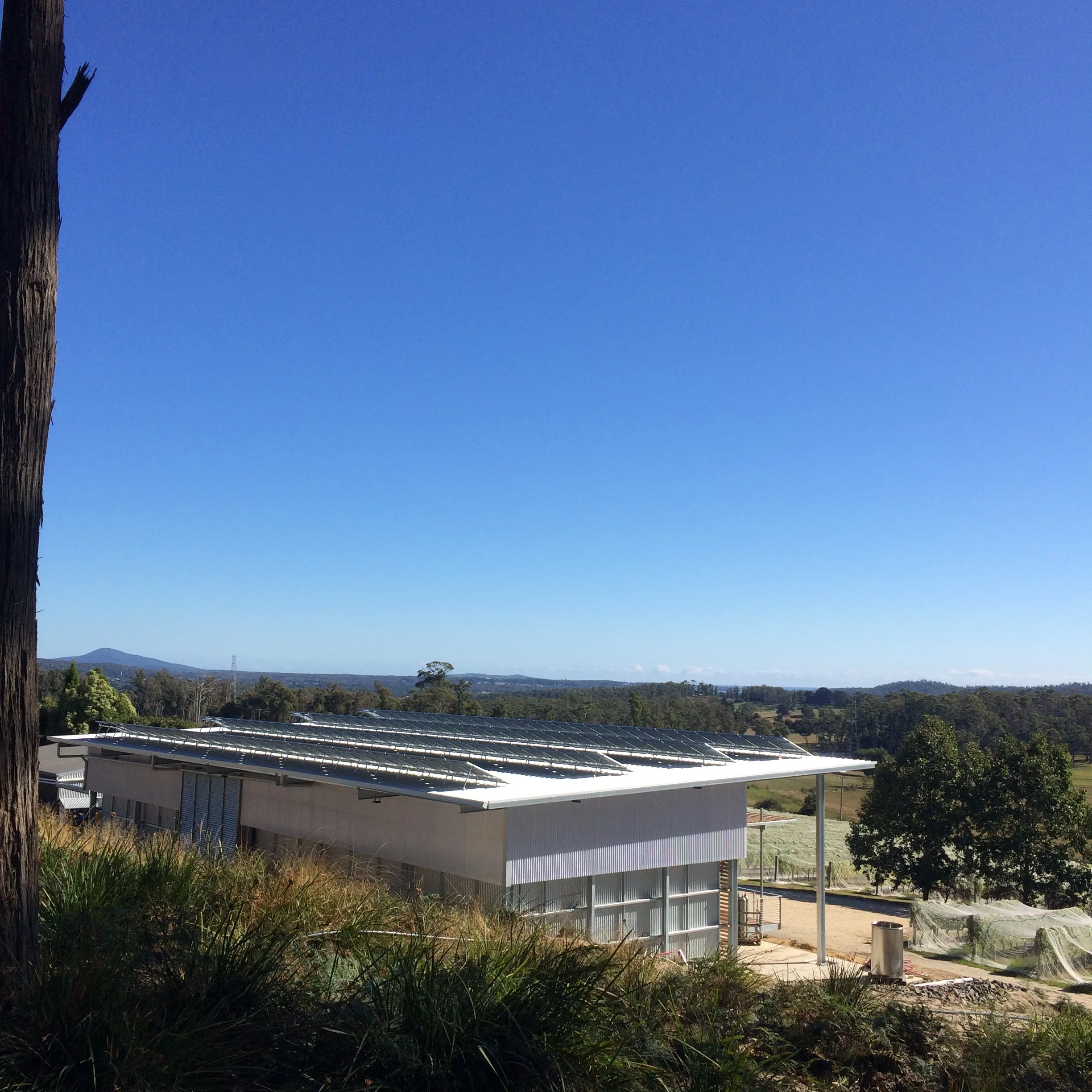 Warm, sunny Autumn days were a welcome start to vintage. We were ready to make wine, powered by the sun in Tasmania's first 100% solar powered winery! 