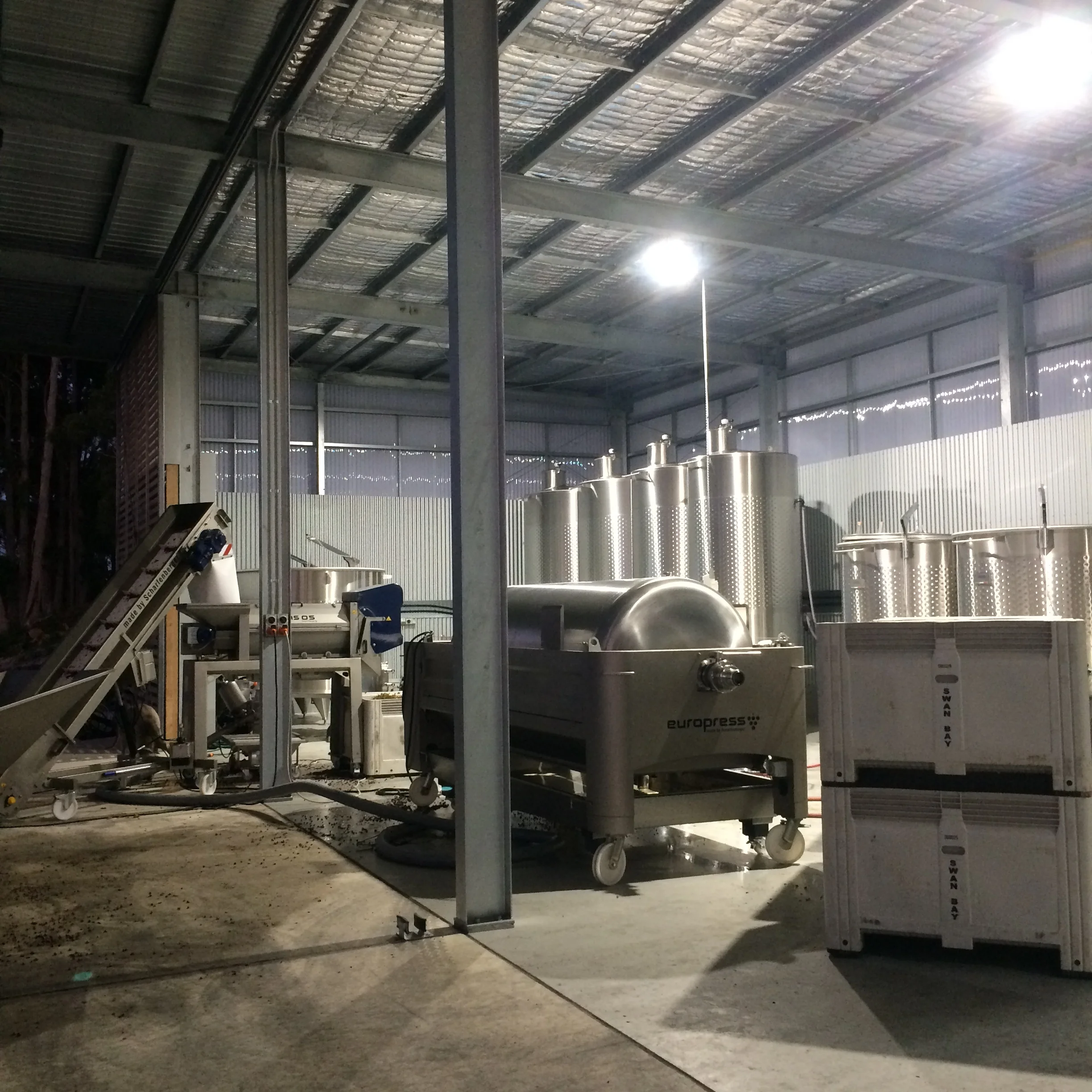 Set up for night shift. Elevator and crusher/ destemmer on the left, press in the centre. 
