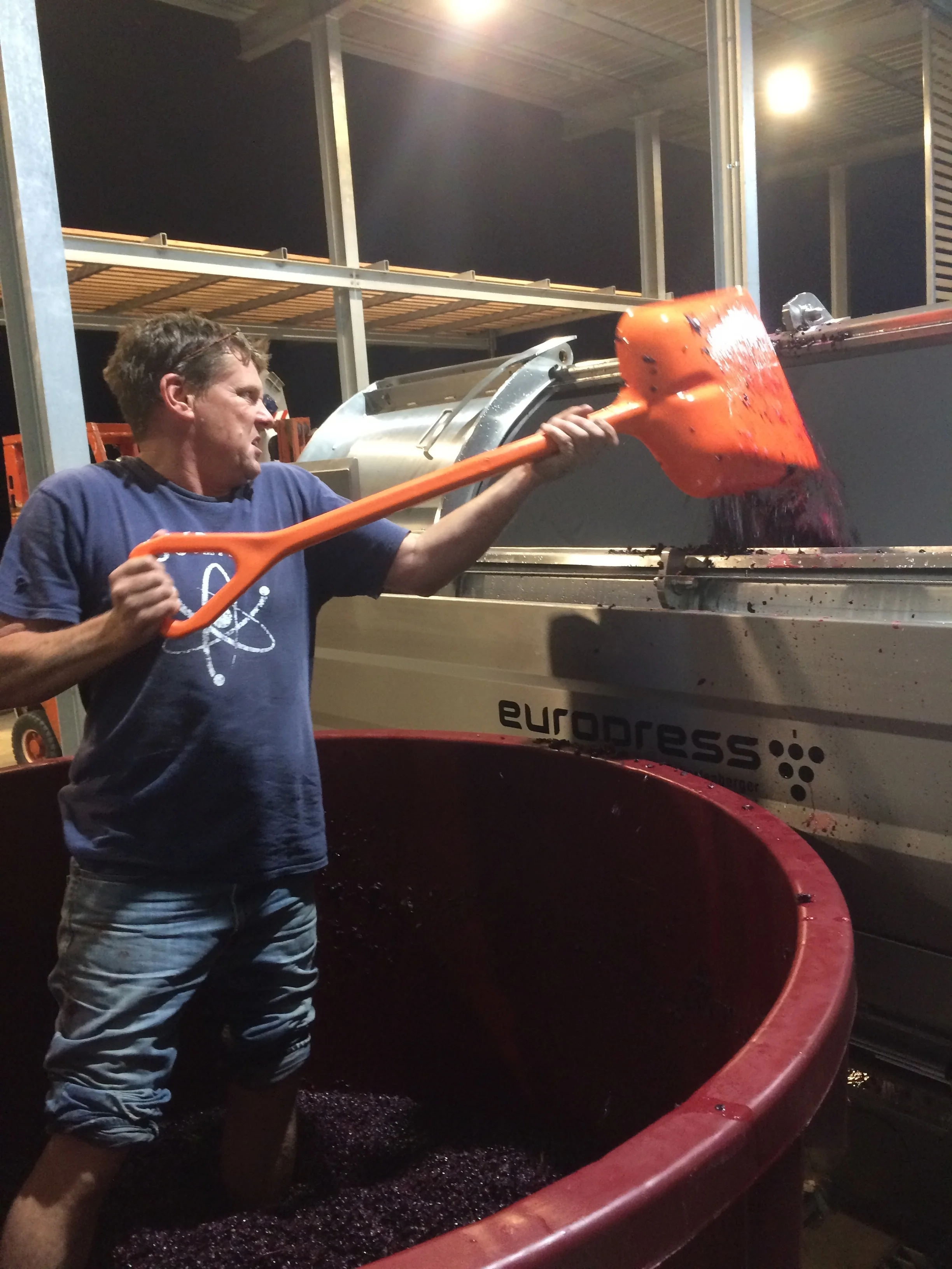 Time to press the first pinot noir ferment. Lucky its only a small batch- shovelling from fermenter to press is tough work for the winemaker. 