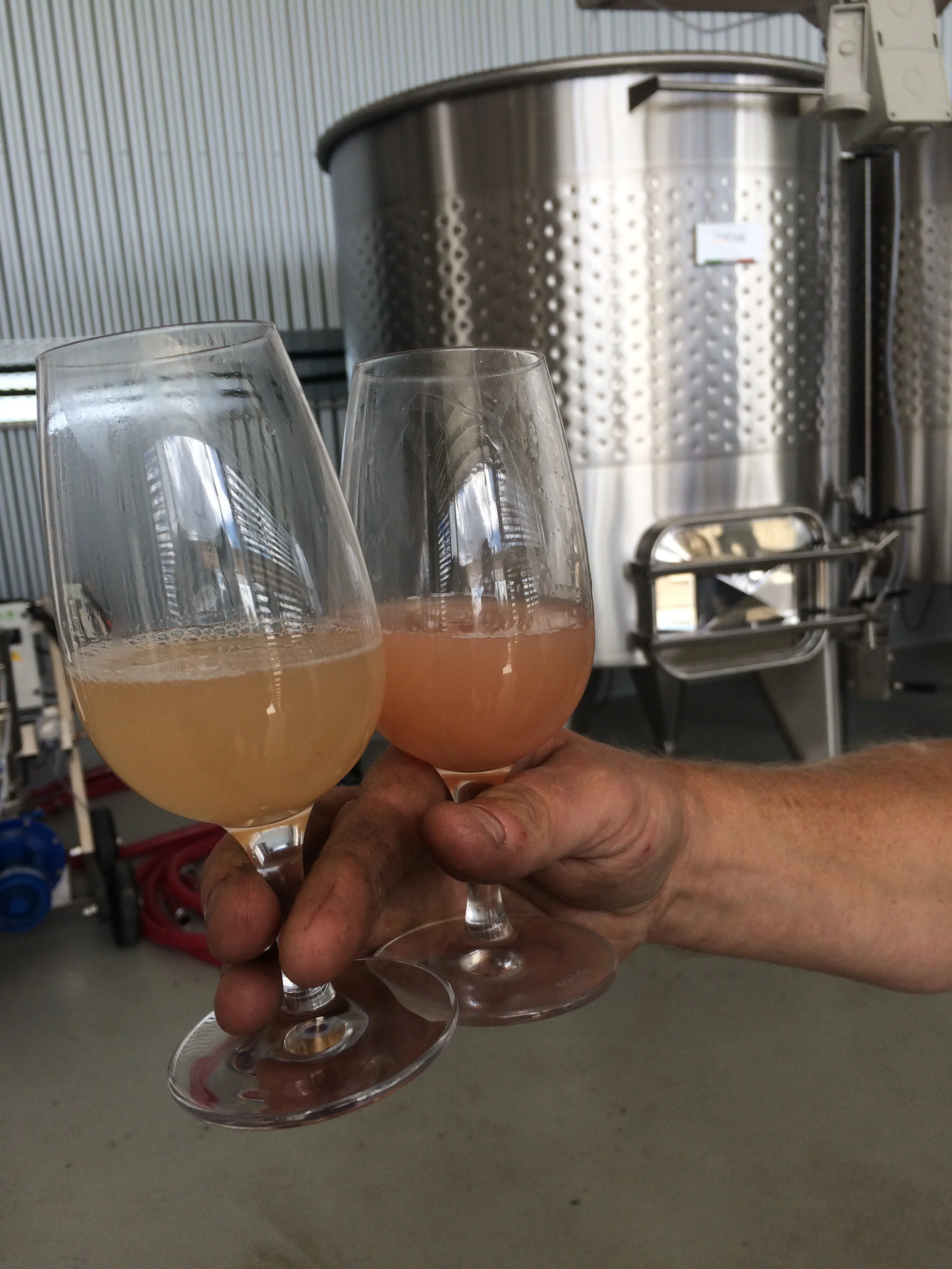 Pinot Gris 2 ways. Tank fermented on the left, barrel fermented on the right. The barrel allows more air in to the wine causing oxidation. 