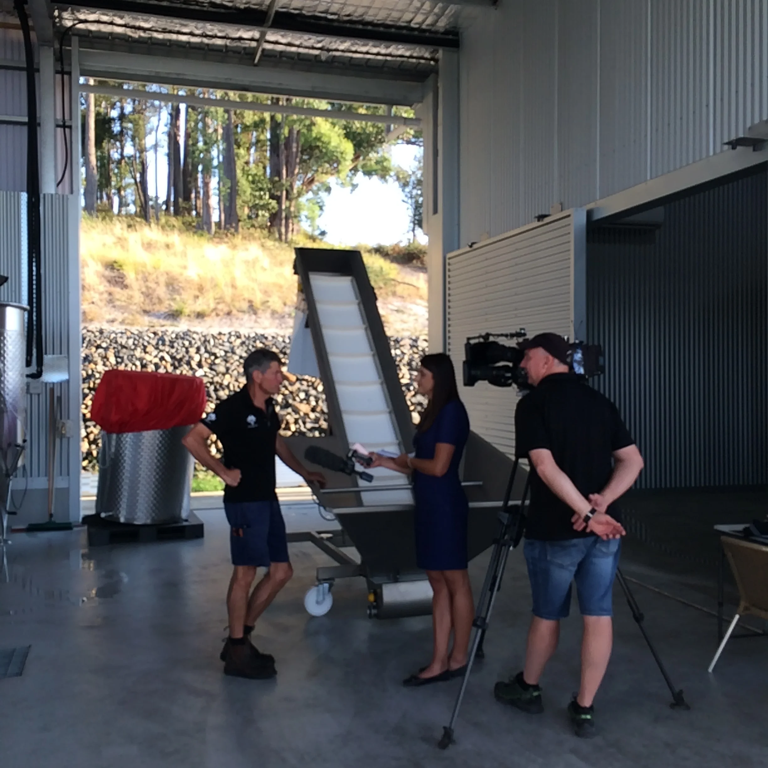 ABC TV News dropped in to film a story on the progress of vintage 2017