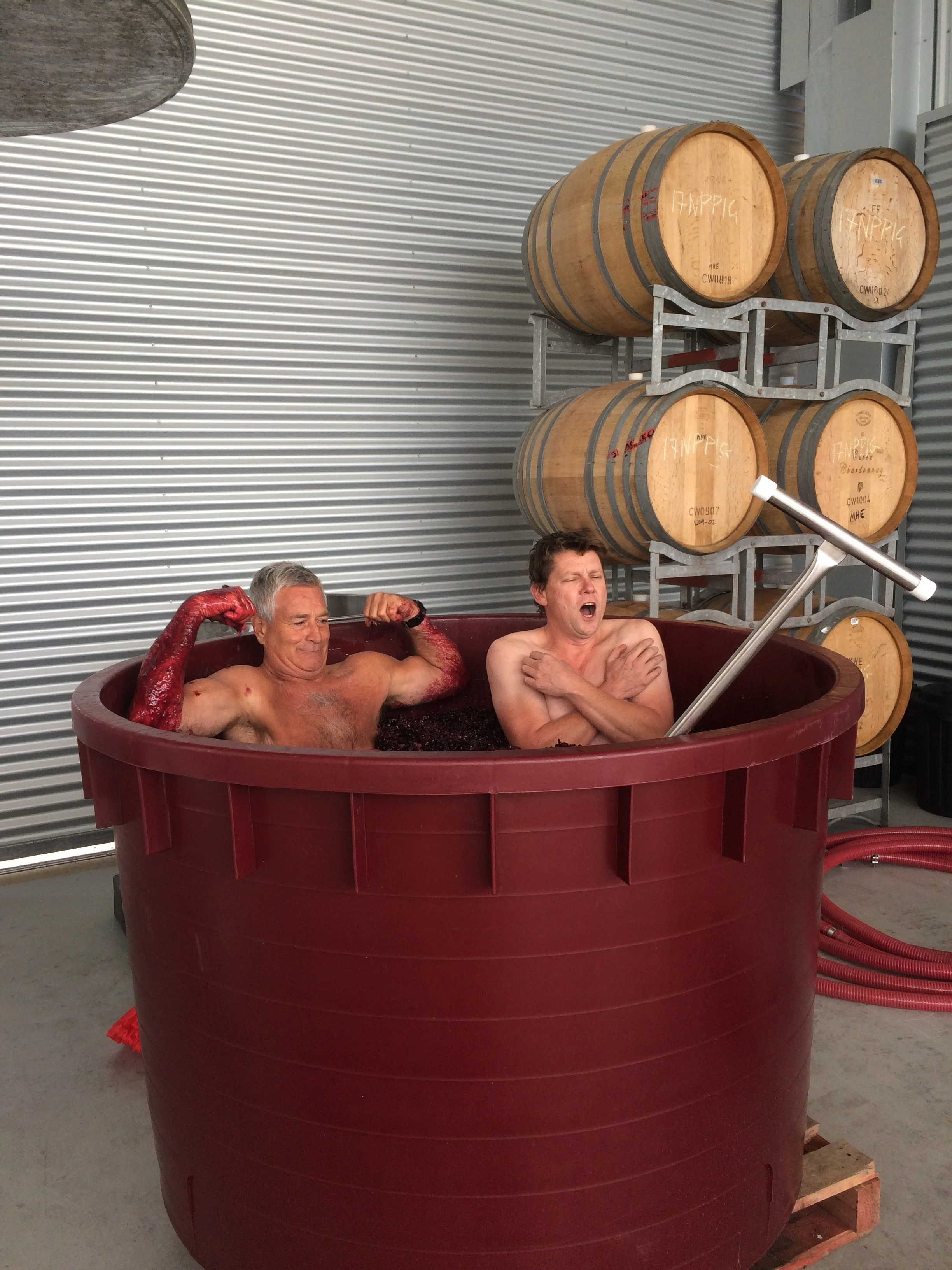 Post lunch hi-jinks in the Cabernet ferment