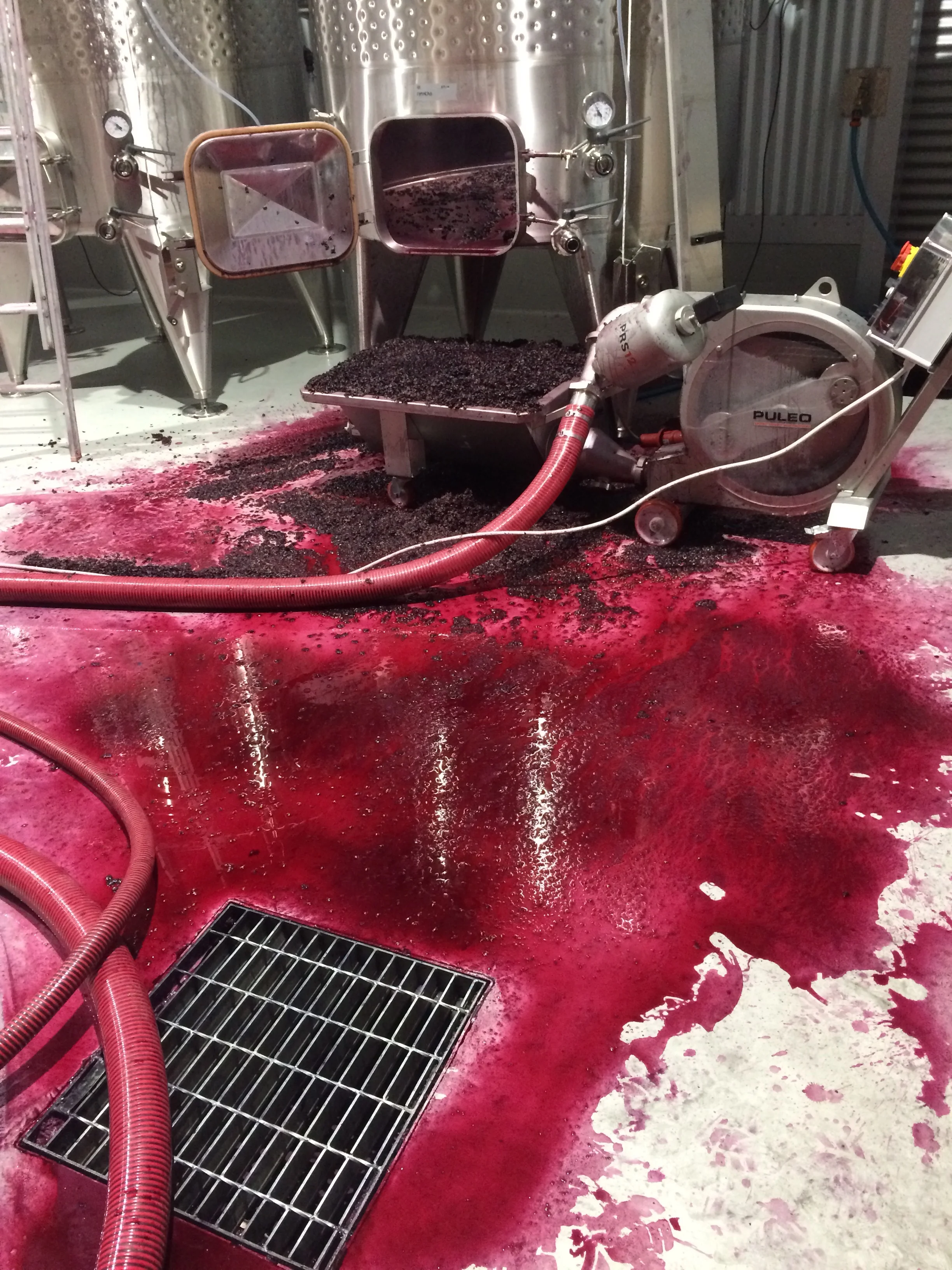 Sometimes things go wrong. All the winery equipment had performed really well, right up until the last day of processing when the pump stopped working. Oh dear, more mess to clean up. 