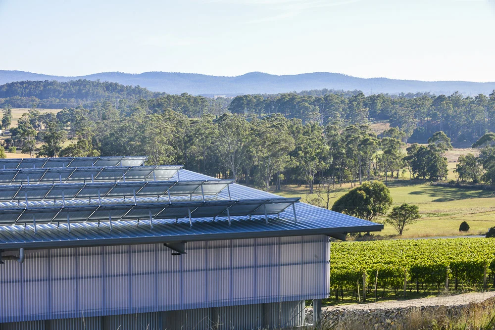 Vote for Moores Hill in the Innovative Tasmania Awards 2017