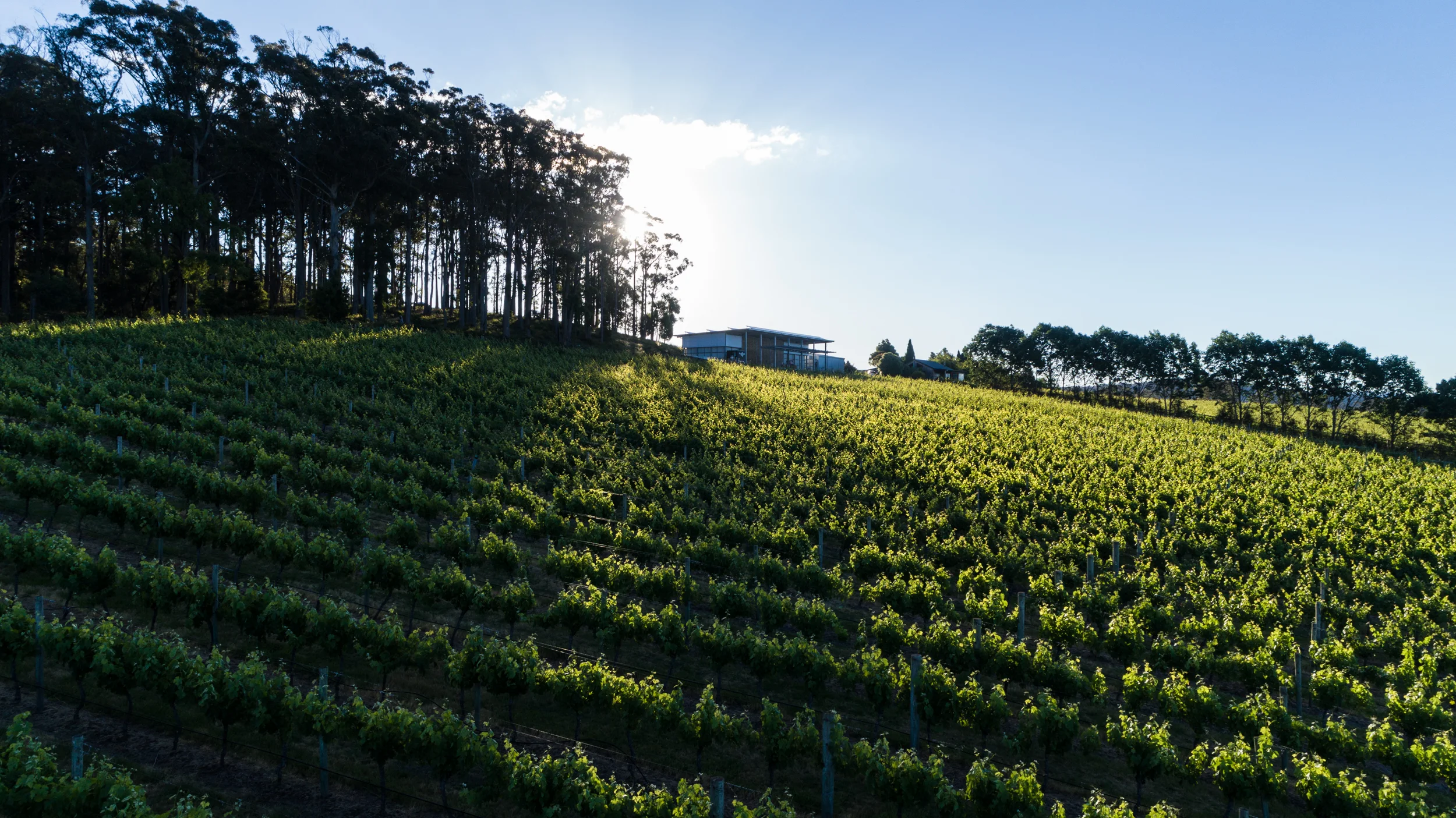 Tasmania_Drone_Michael Mouritz-8.jpg