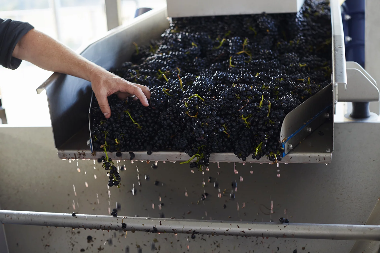 Moores Hill Vintage169.jpg