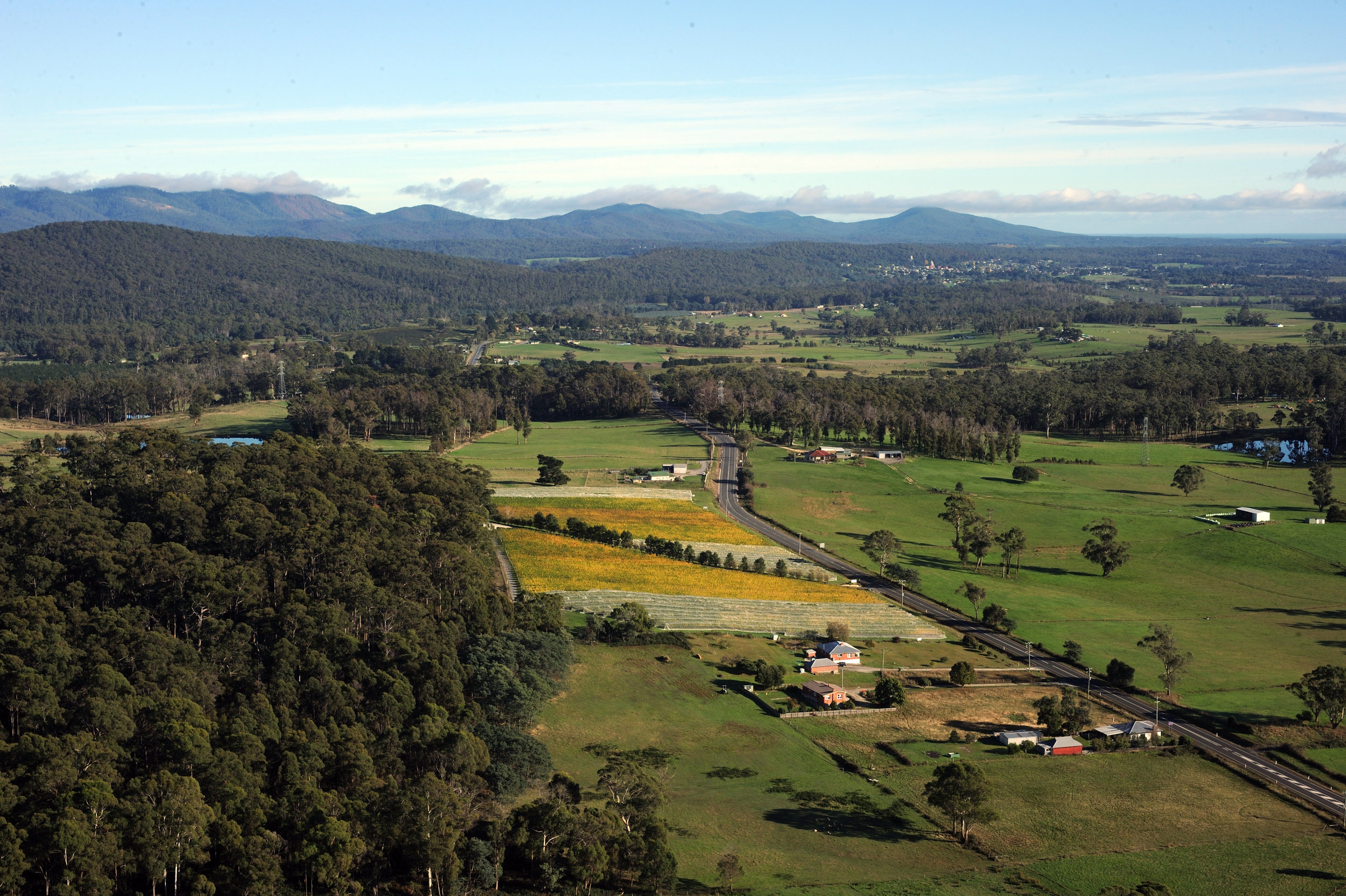 Places to stay in the Tamar Valley