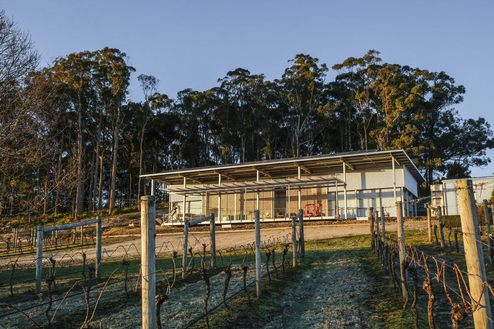 Frosty mornings lead to fine, sunny days at Moores Hill