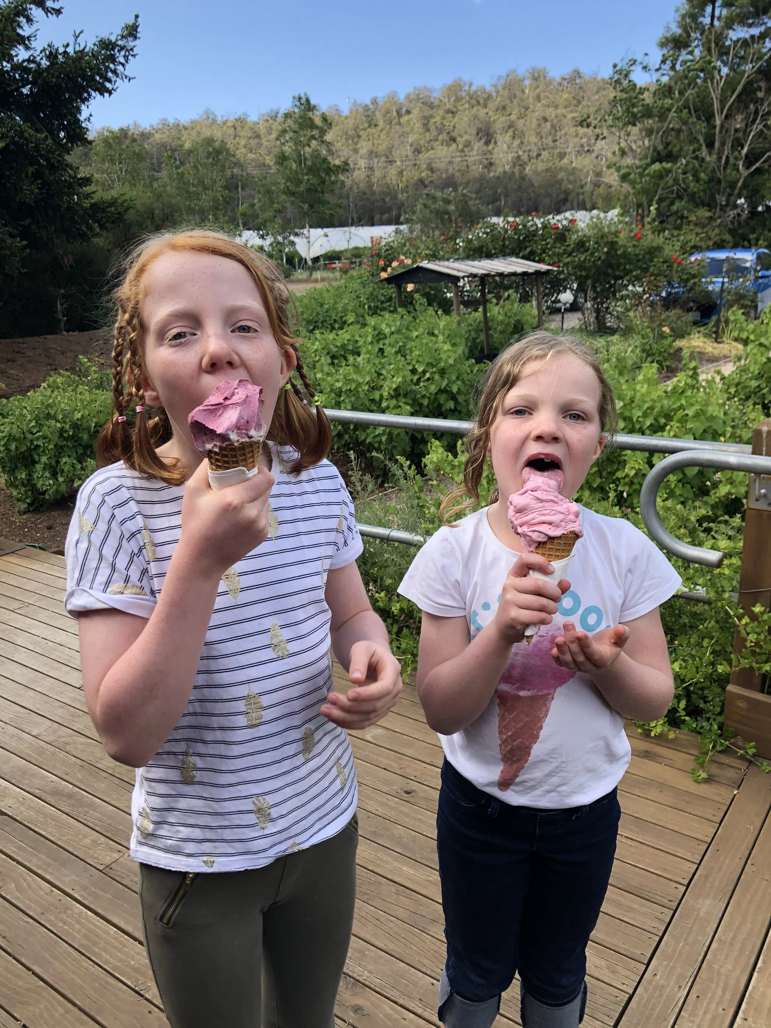 The ice creams are big and laced with fresh berries at Hillwood Berry Farm