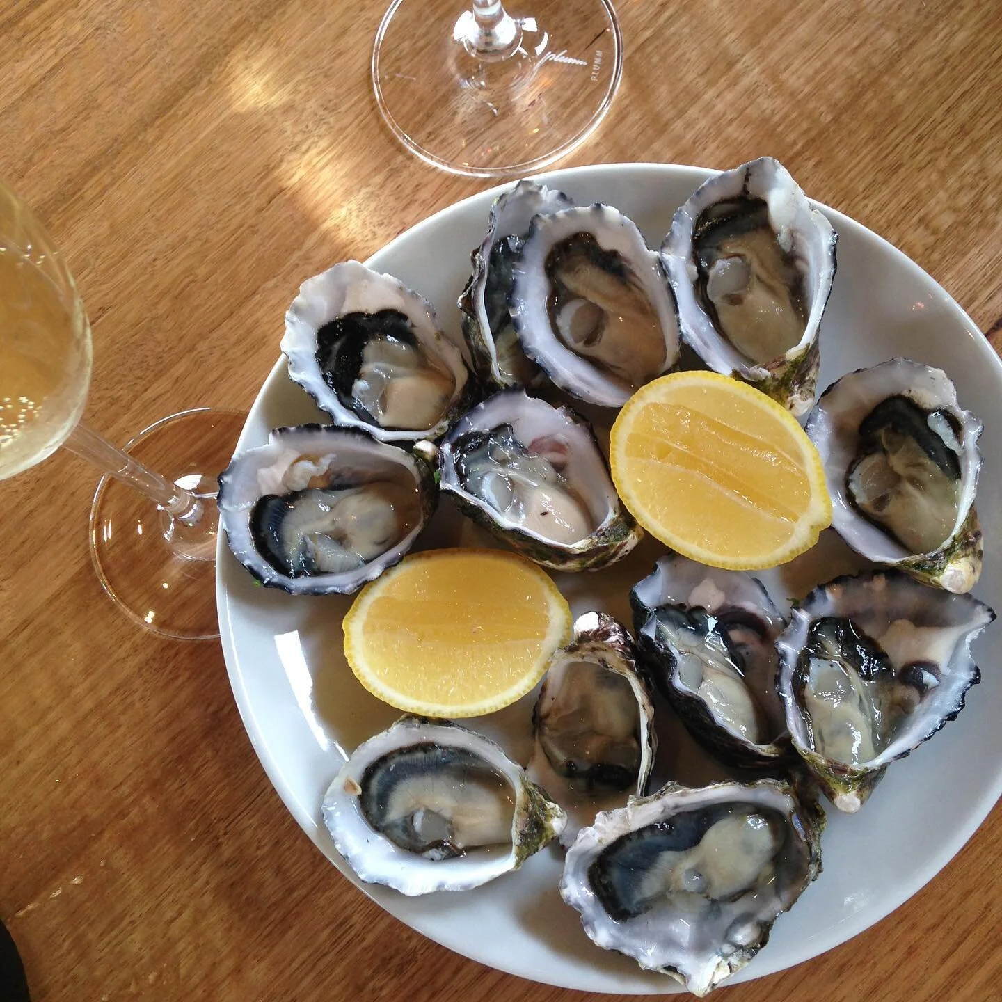 Oysters are on the menu at cellar door today.