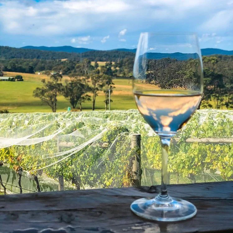 All you need right here. Glass of wine + view Thanks @rhylw 📷