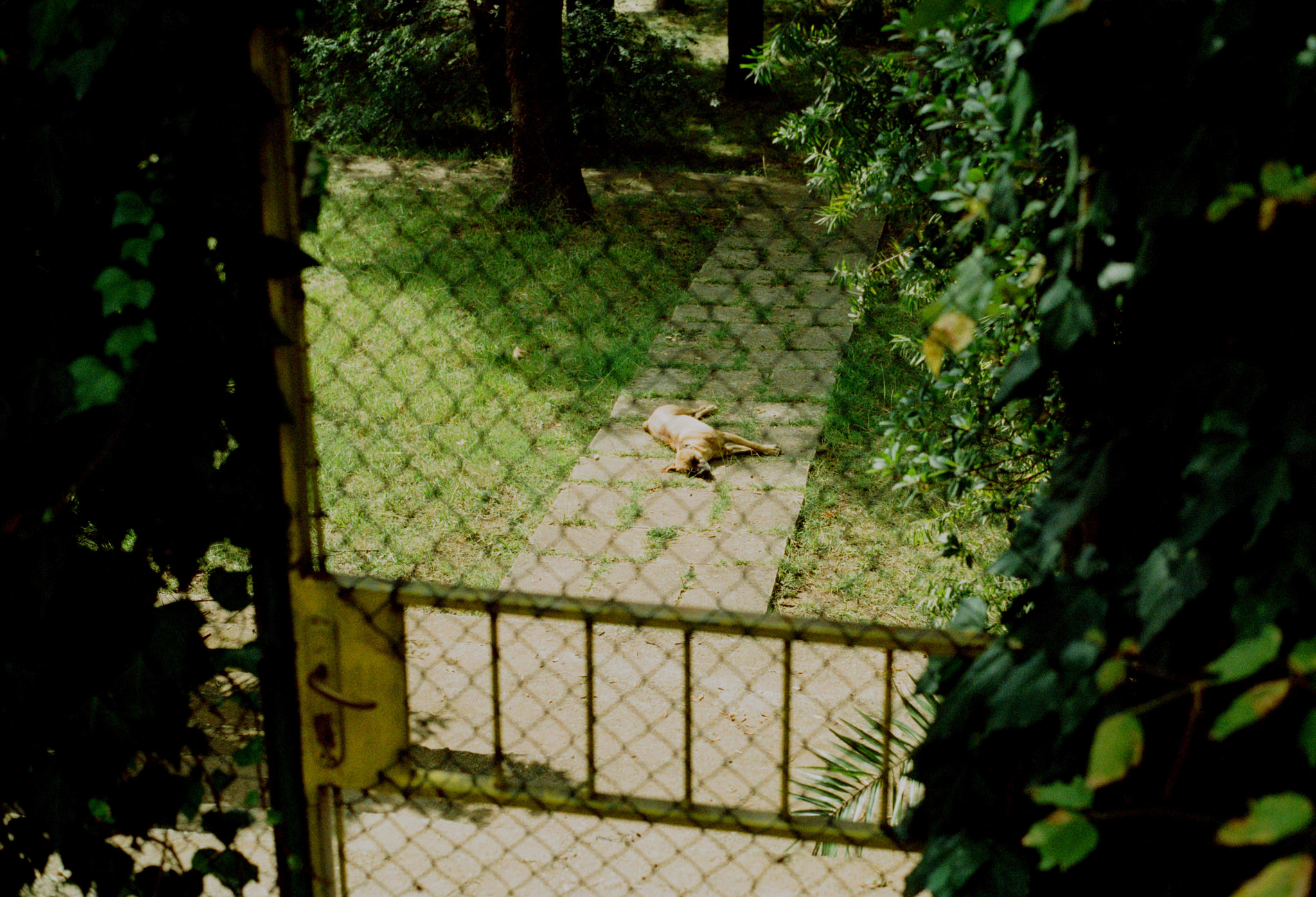 Land Of Eagles - Albania - copyright Alexander Williamson www.alexander-williamson.com