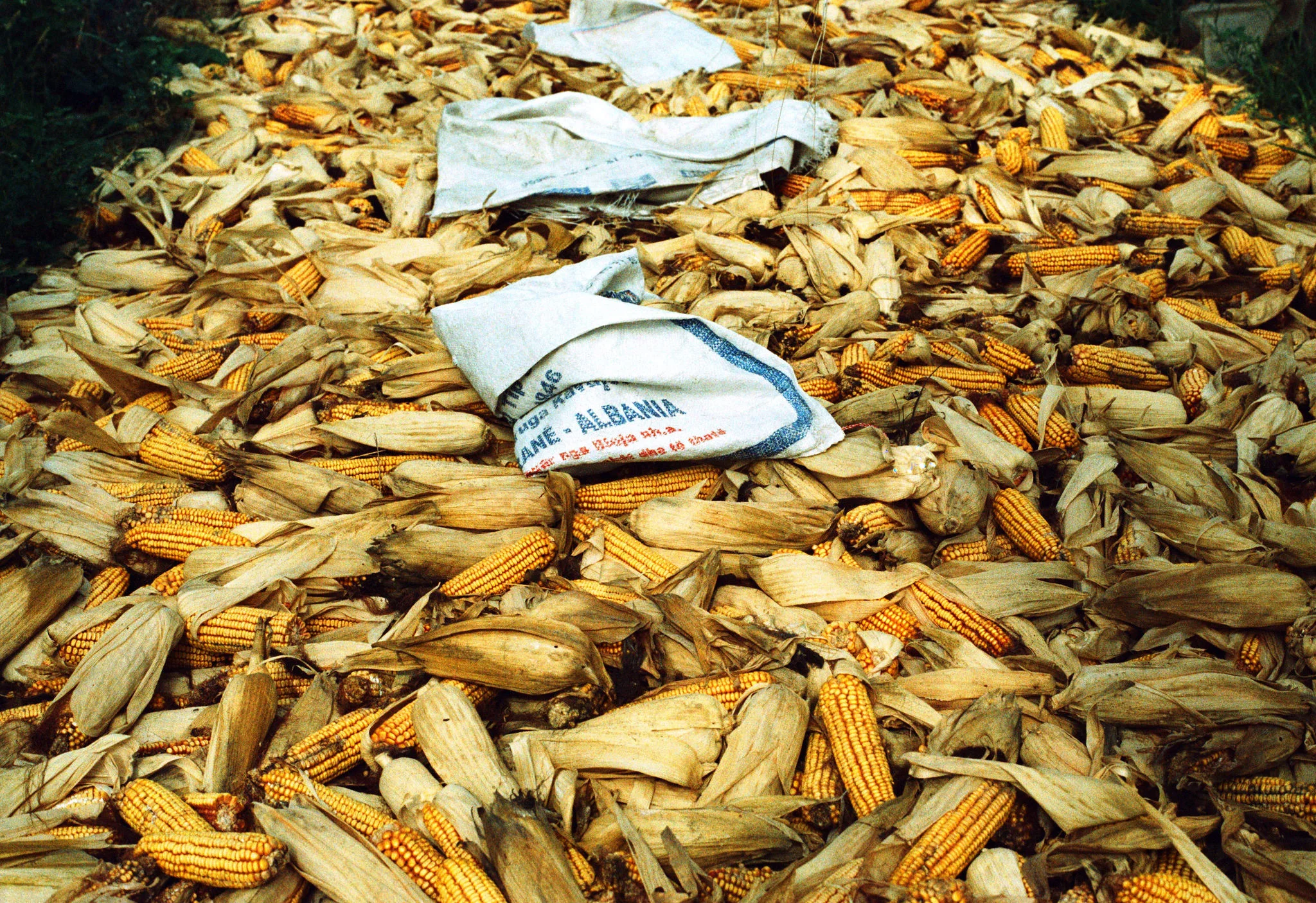 Land Of Eagles - Albania - copyright Alexander Williamson www.alexander-williamson.com