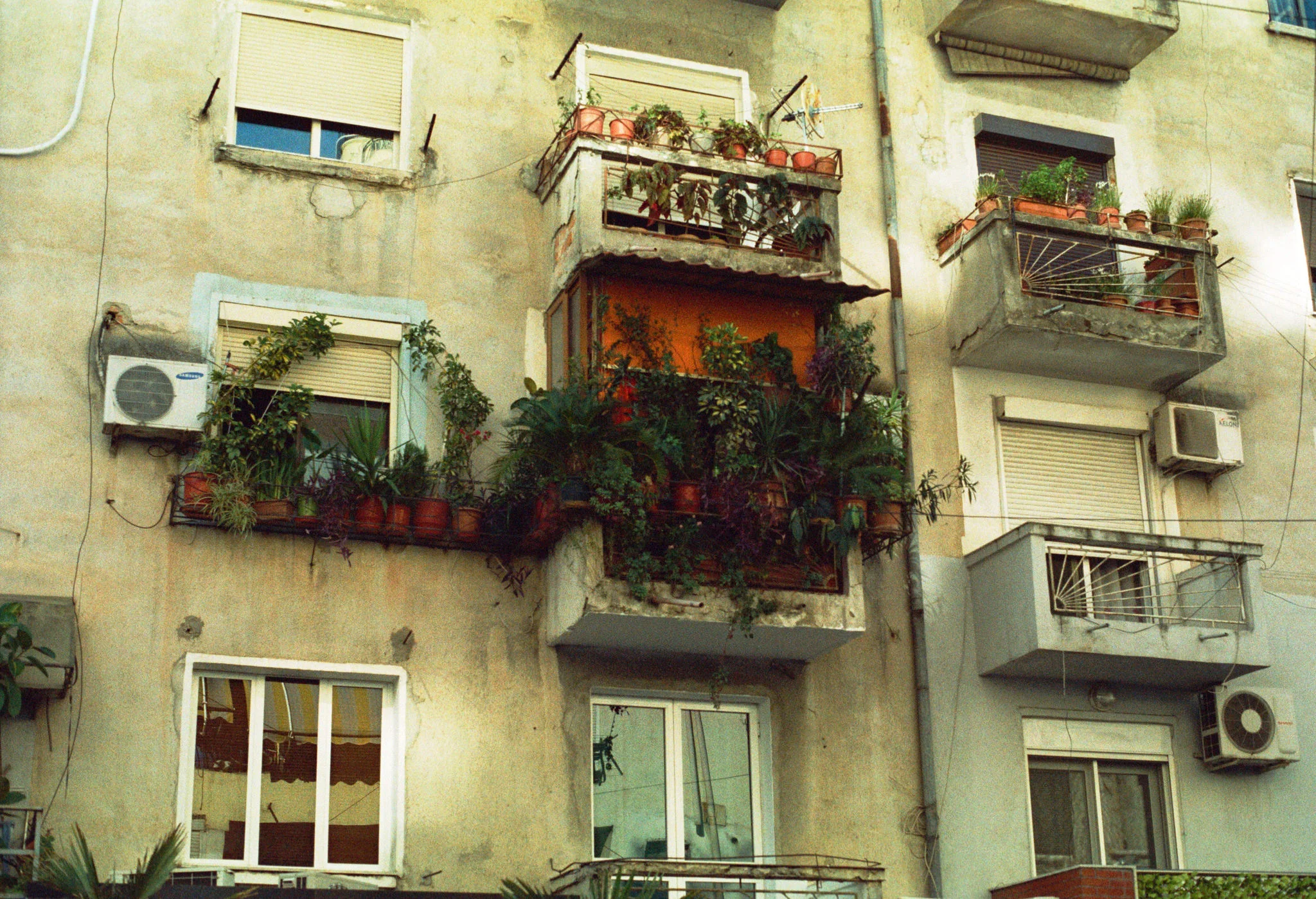 Land Of Eagles - Albania - copyright Alexander Williamson www.alexander-williamson.com