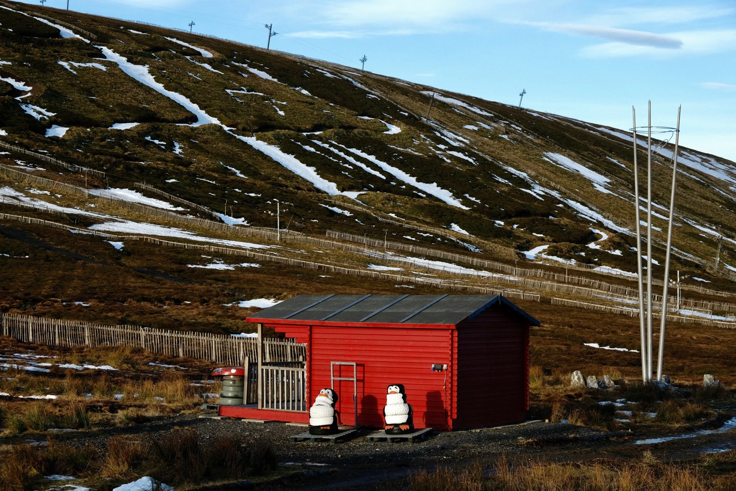 Unseasonably Warm - Alexander Williamson - Penguins at the Lecht - www.alexander-williamson.com