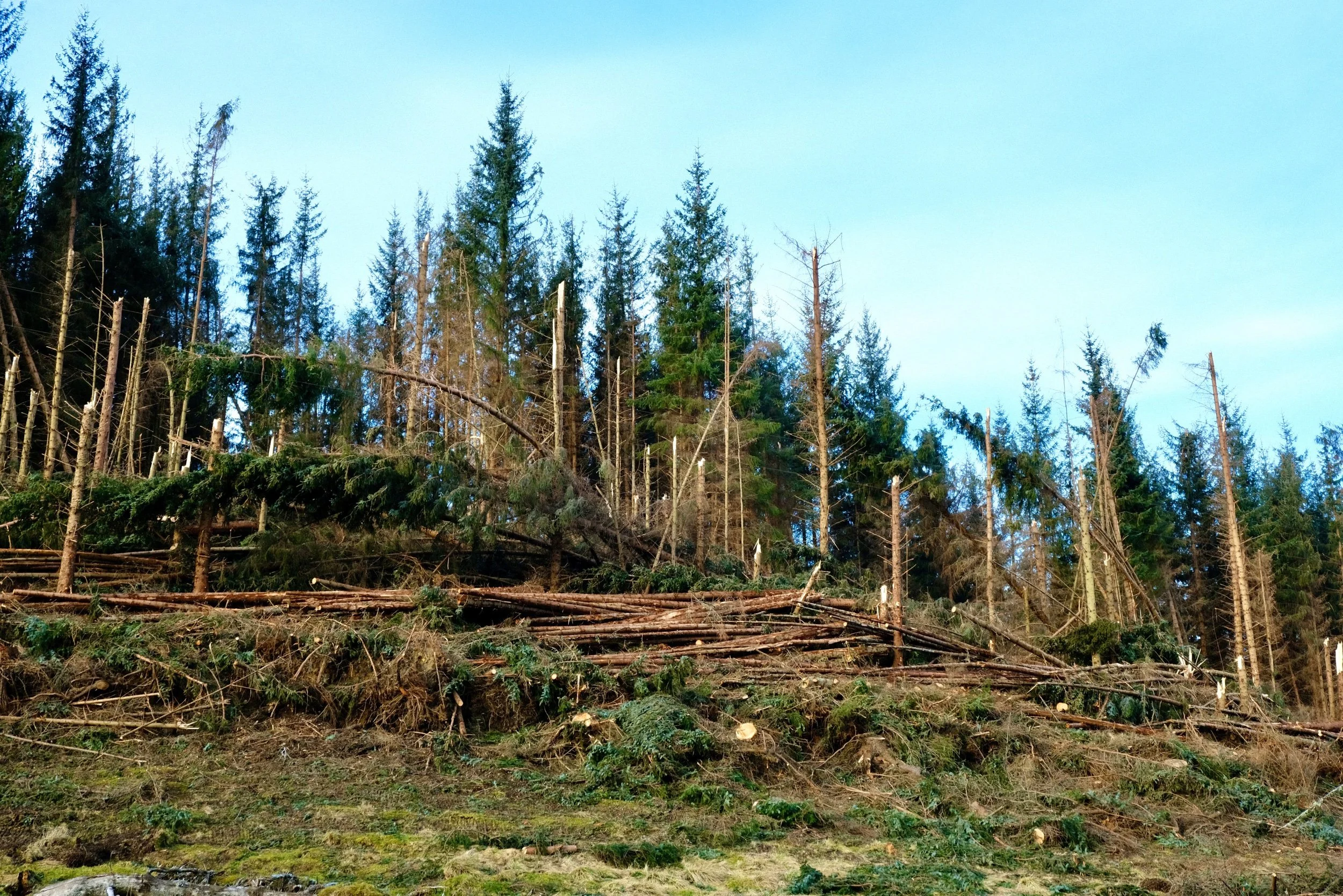 Unseasonably Warm - Alexander Williamson - www.alexander-williamson.com