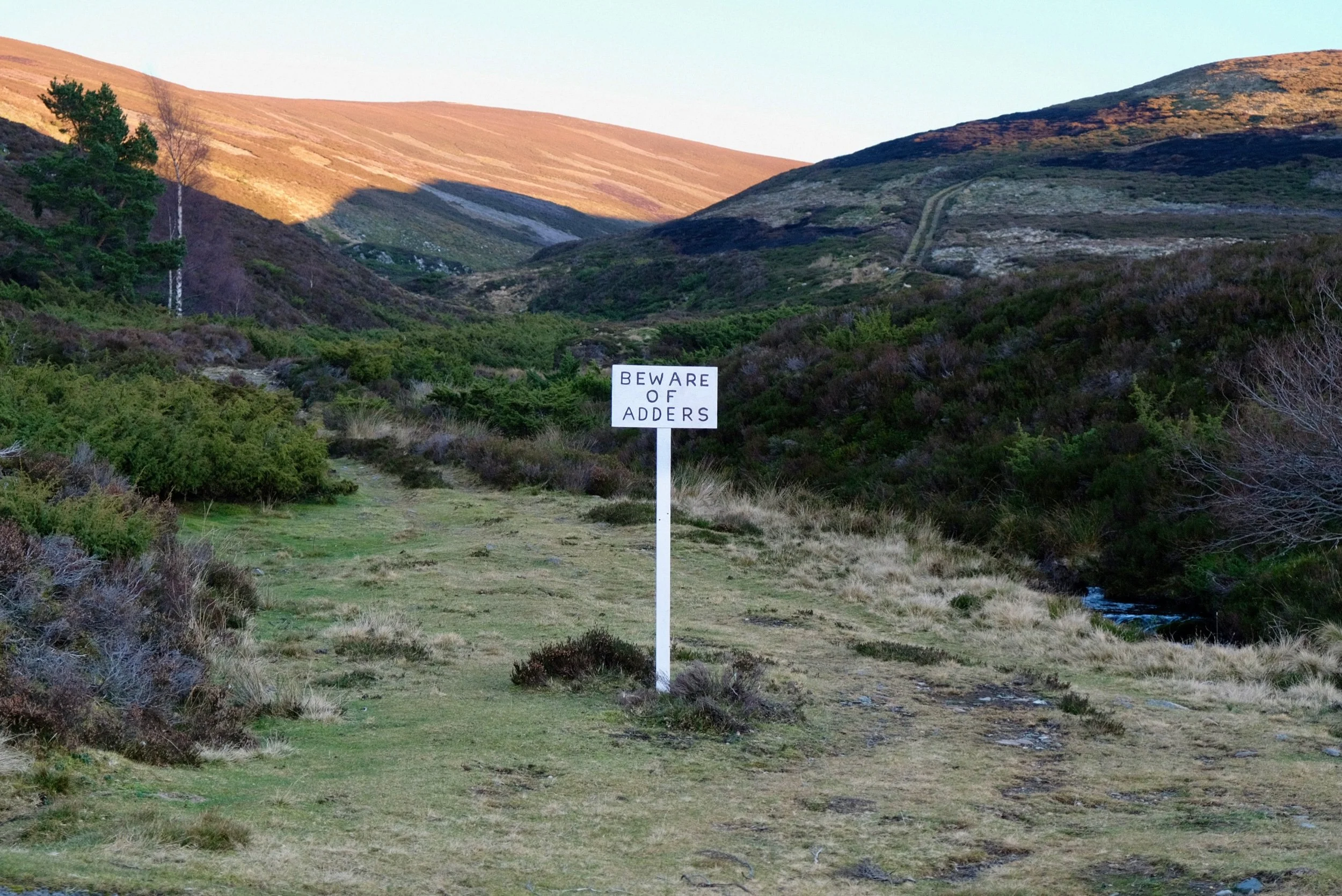 Unseasonably Warm - Alexander Williamson - www.alexander-williamson.com