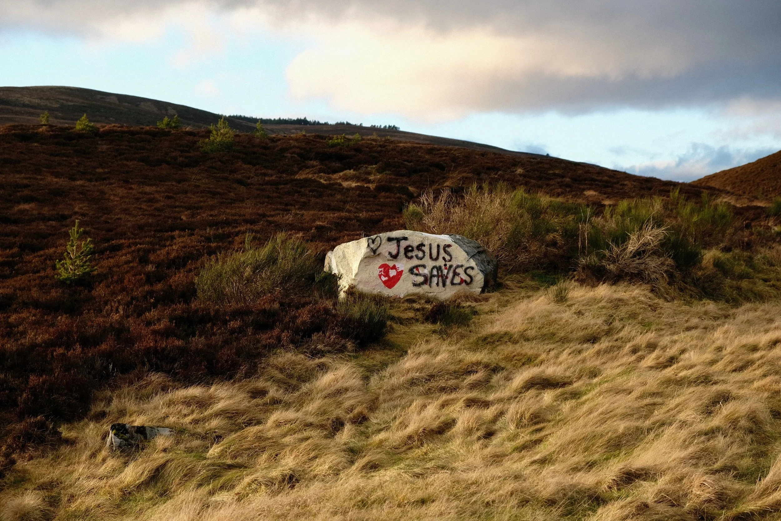 Unseasonably Warm - Alexander Williamson - www.alexander-williamson.com