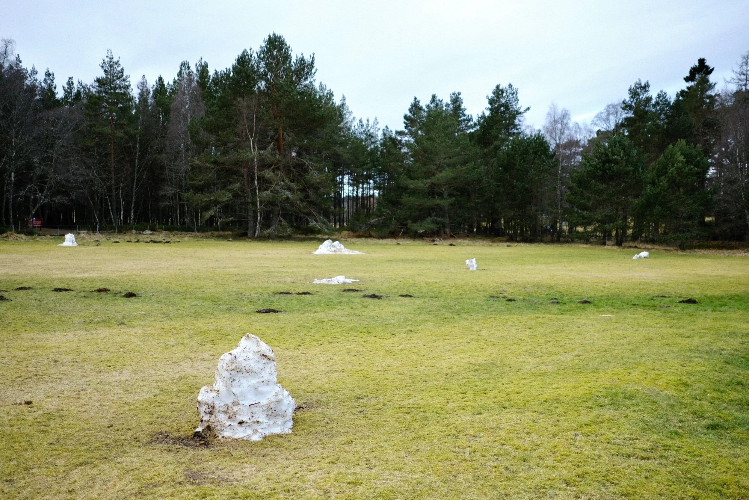 Unseasonably Warm - Alexander Williamson - www.alexander-williamson.com