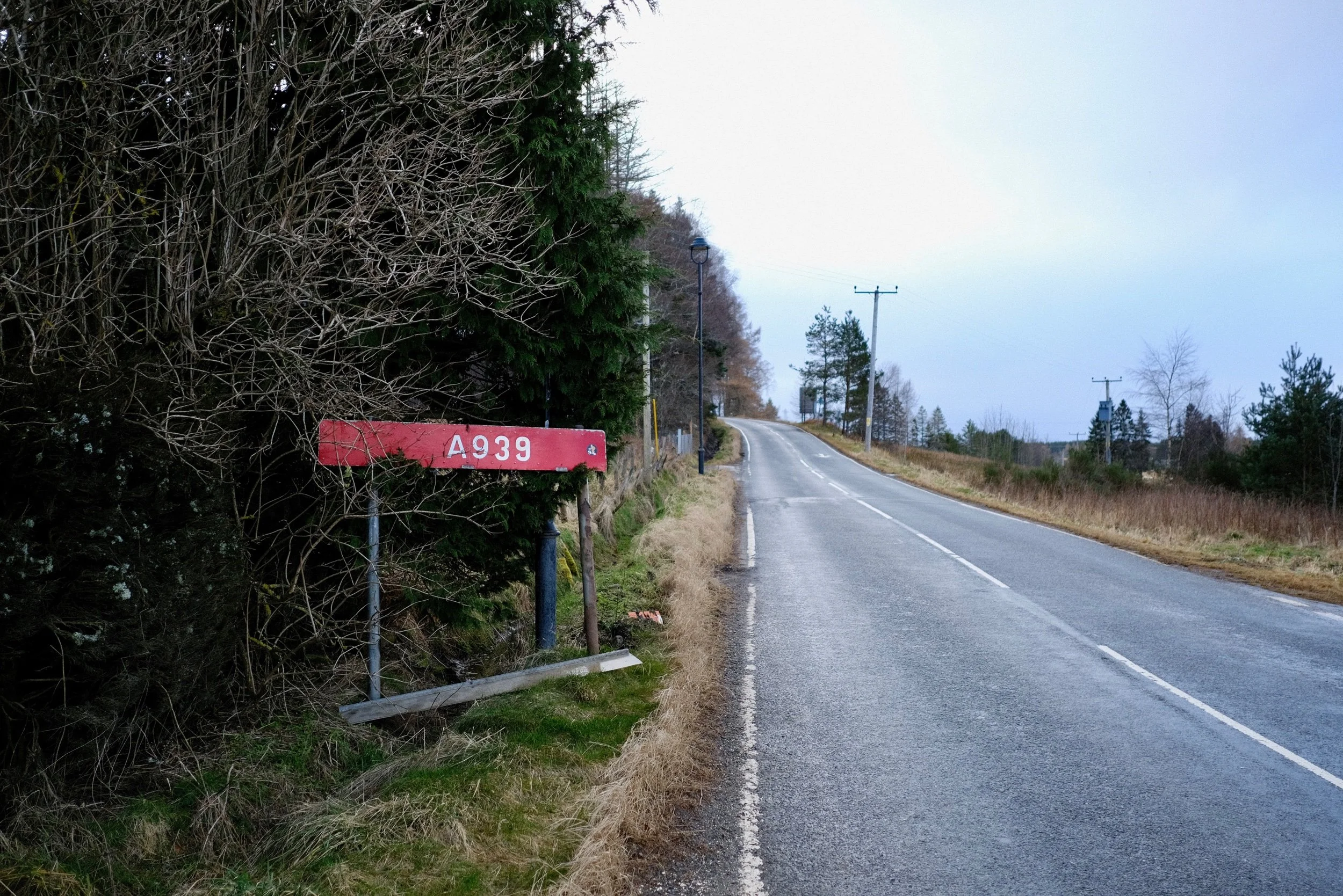 Alexander Williamson - Unseasonably Warm - www.alexander-williamson.com