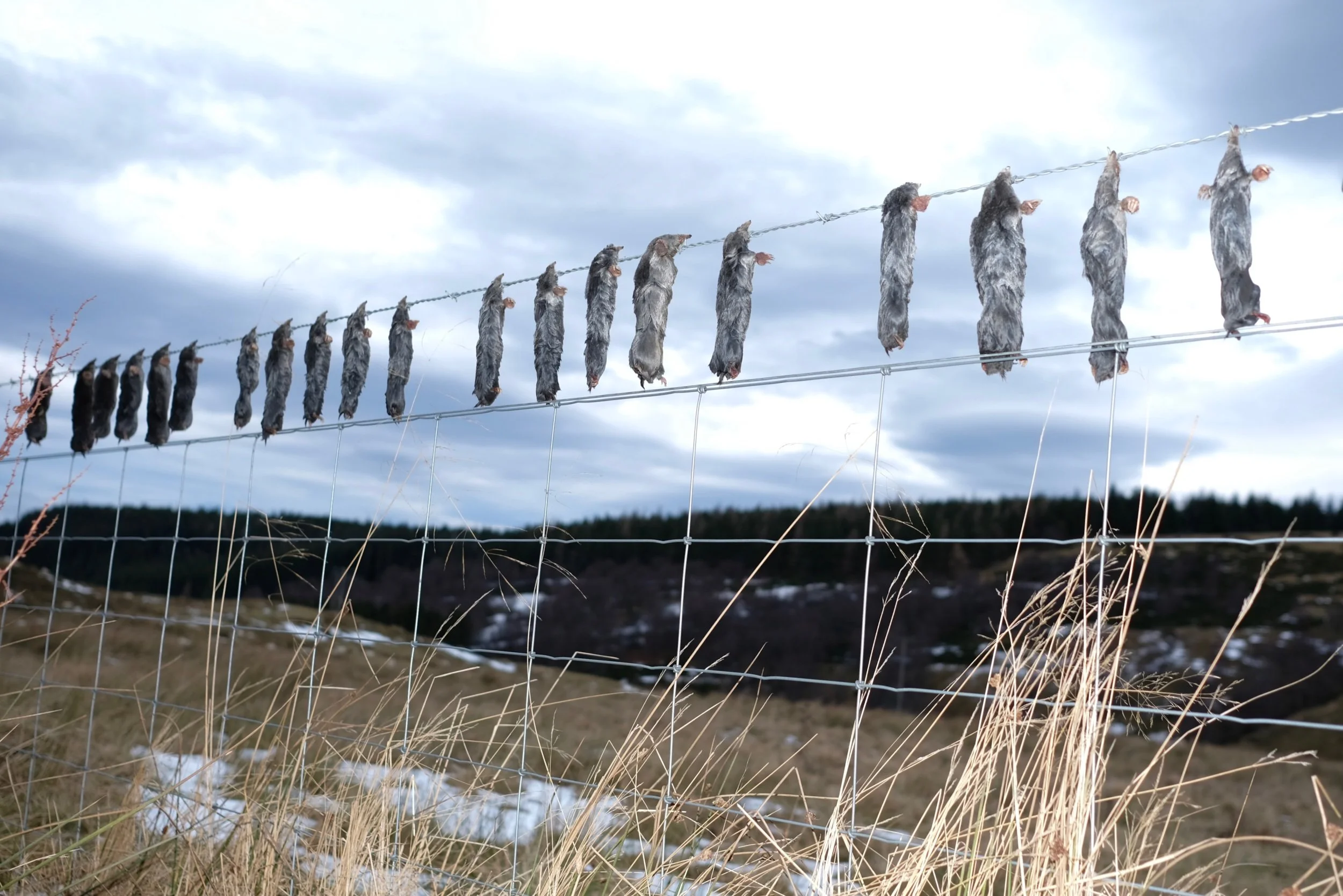 Unseasonably Warm - Alexander Williamson - www.alexander-williamson.com