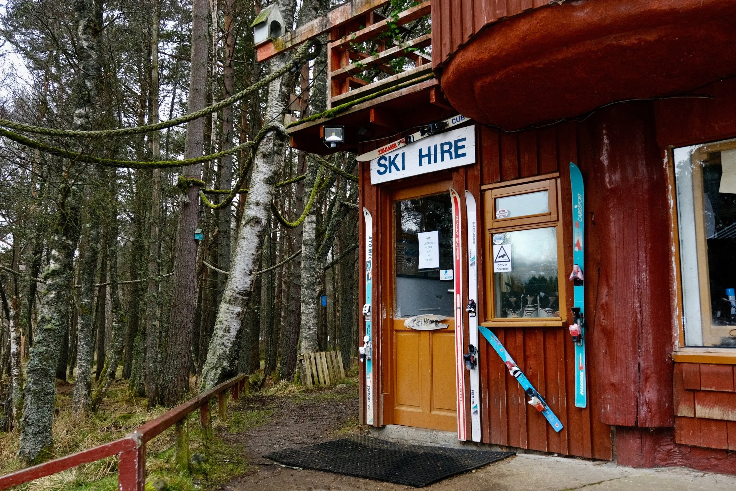 Unseasonably Warm - Alexander Williamson - www.alexander-williamson.com