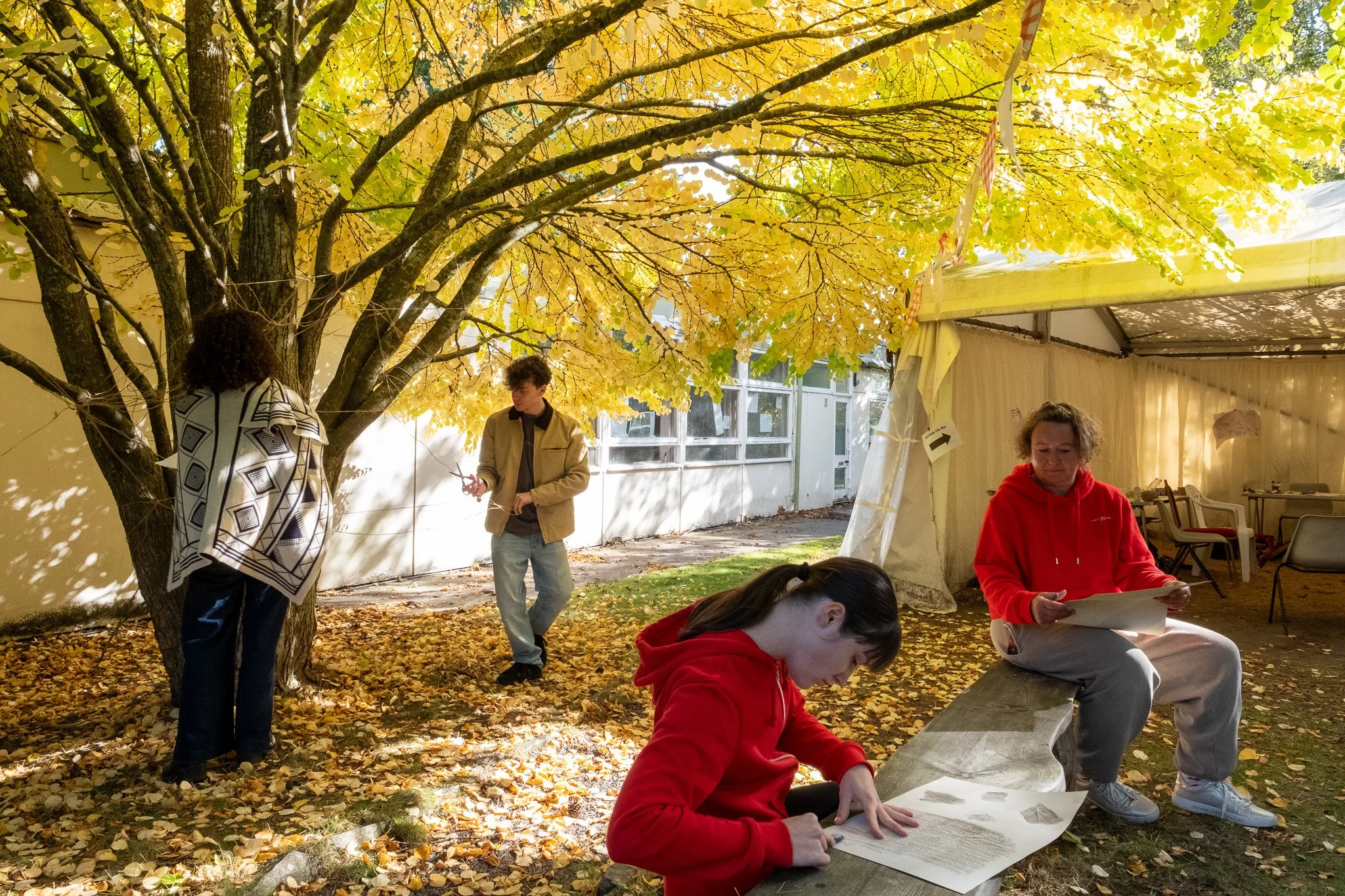 The Space Between - High Res - Image Credit Alexander Williamson12.jpg