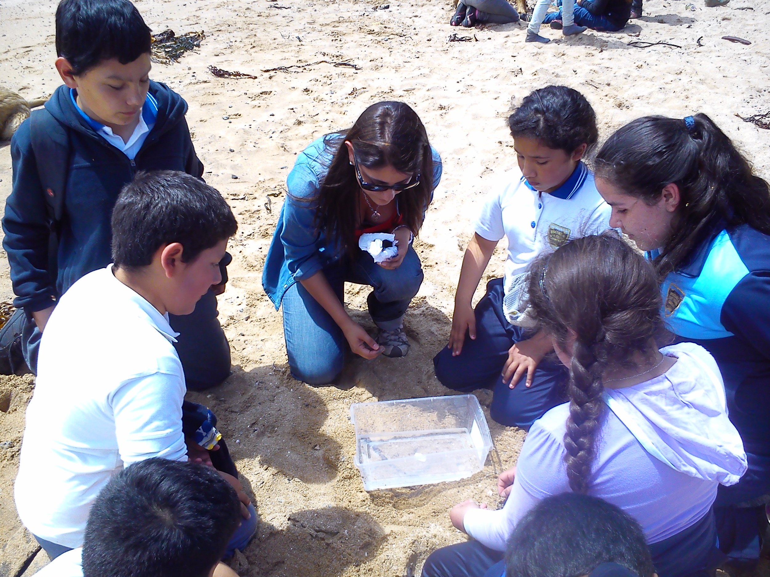 Environmental education. Recognition of the coastal intertidal zone. Francisca López (002).jpg