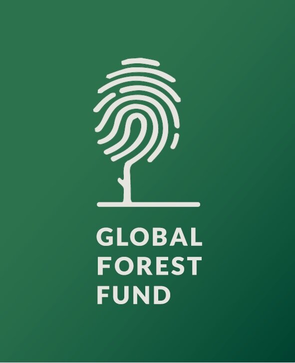 menta FALSO Inmunidad Global Forest Fund - new calculator and platform launch — Foundation for  Environmental Education