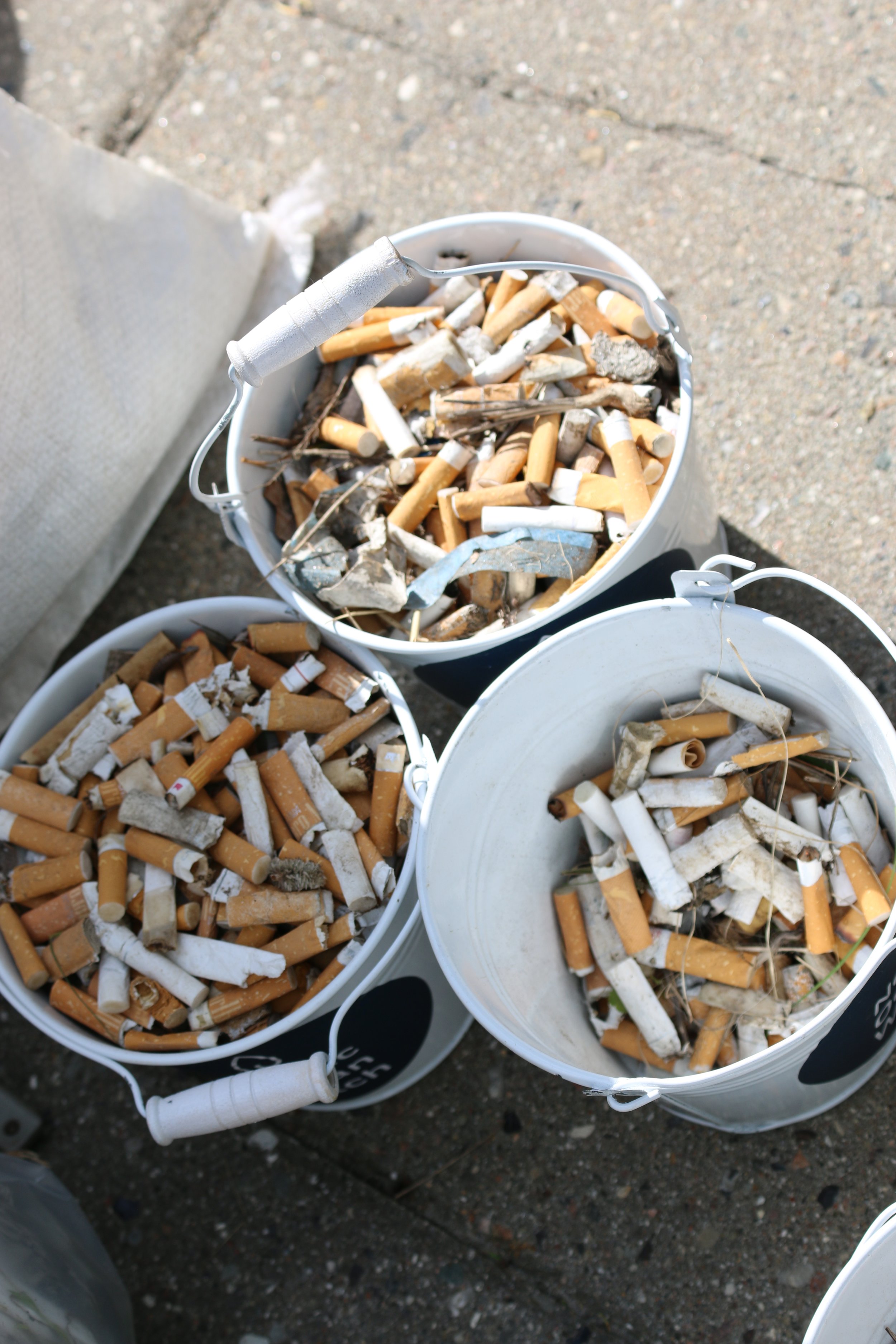 Cigarette buds ready to be recycled