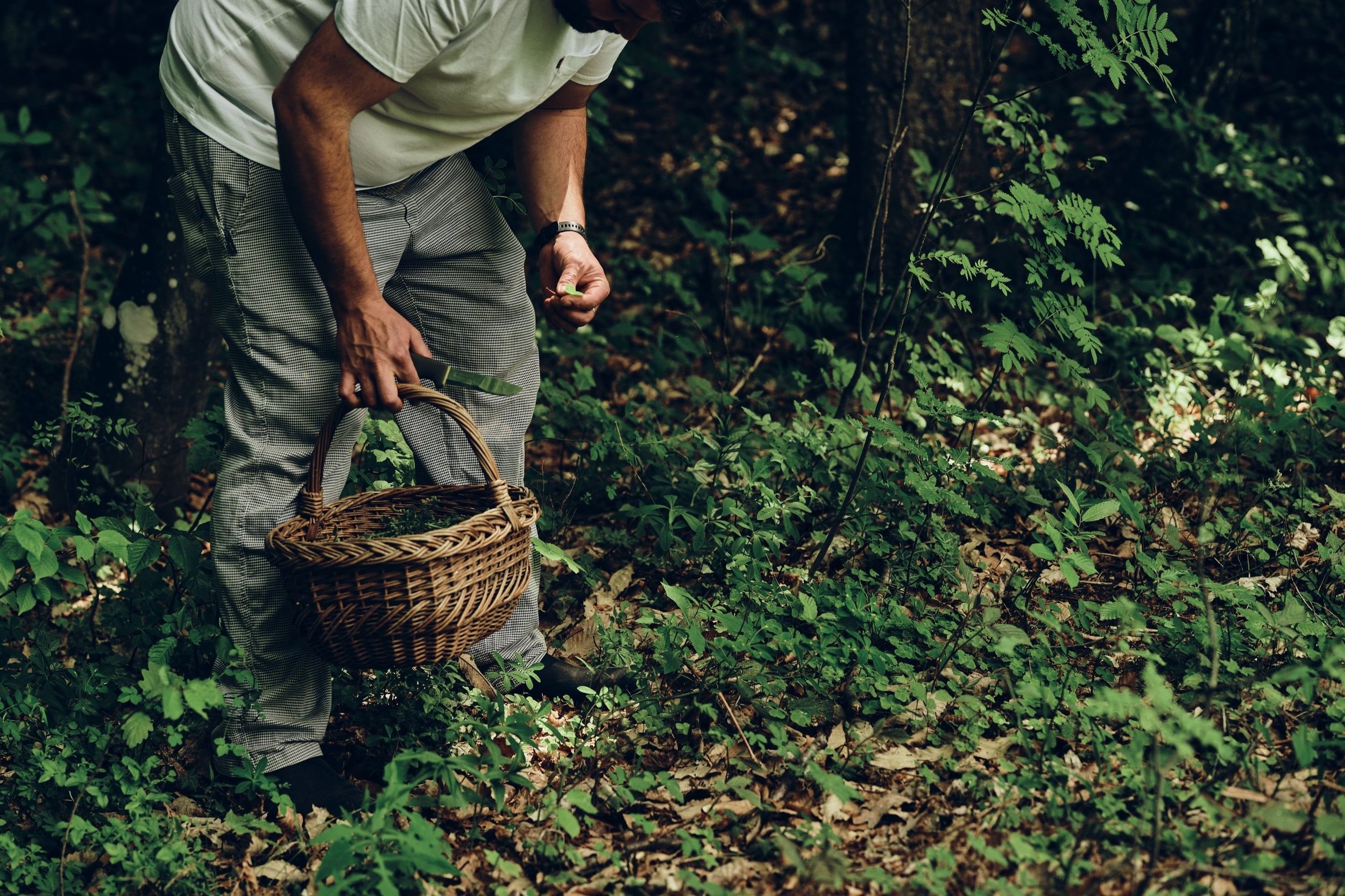  Explore our 2022 Annual Report! Learn about&nbsp;the many activities and actions from the FEE network and discover the global impact we've had on empowering climate action, protecting global biodiversity and reducing environmental pollution.   Read 