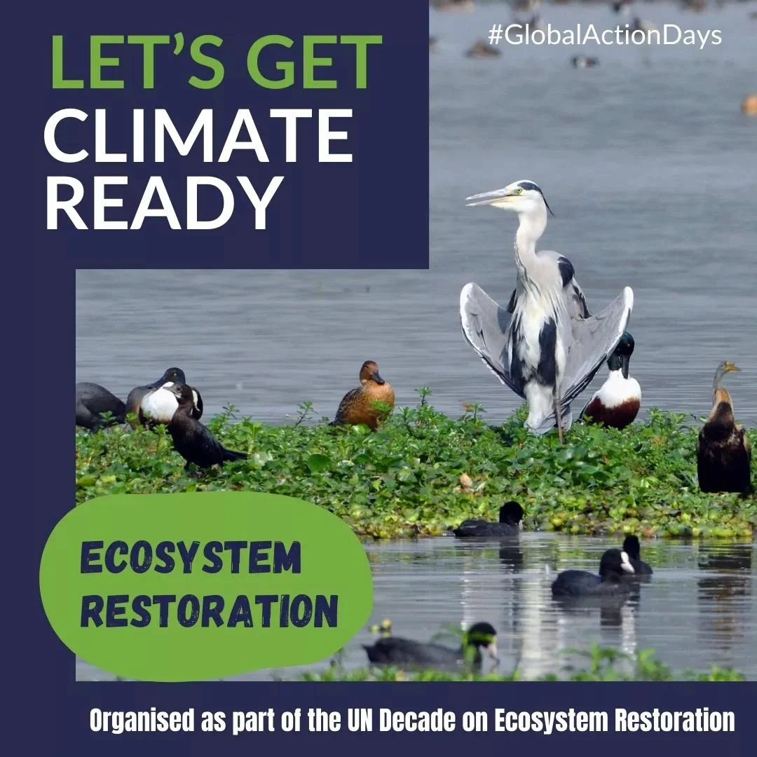 Birds and their migratory patterns are a great indicator of the health of ecosystems so let&rsquo;s&nbsp;protect our feathered friends and help keep their habitats safe! 🐦

#GlobalActionDays Challenge: Participate in Activity 5 by stepping outside, 