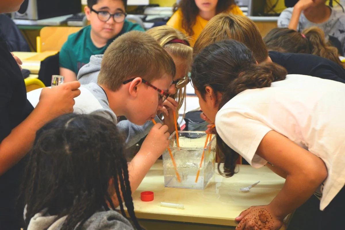 Climate Change Education: From Knowledge to Action