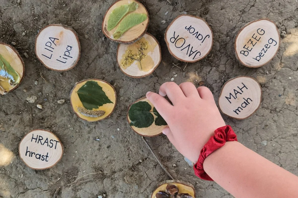 Introduction to Environmental Literacy