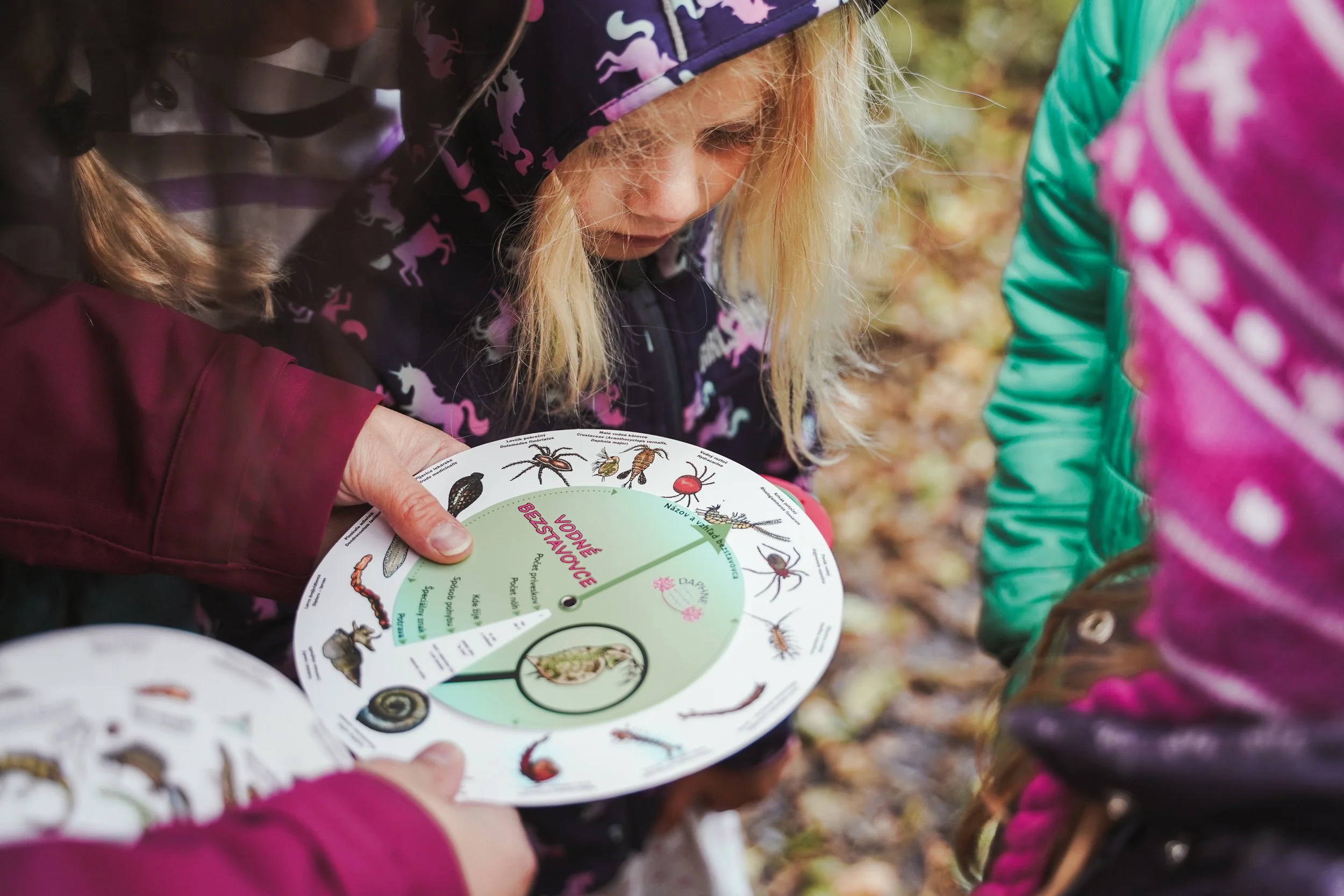 2025_Eco-School_Slovakia_Handbook 5.jpg