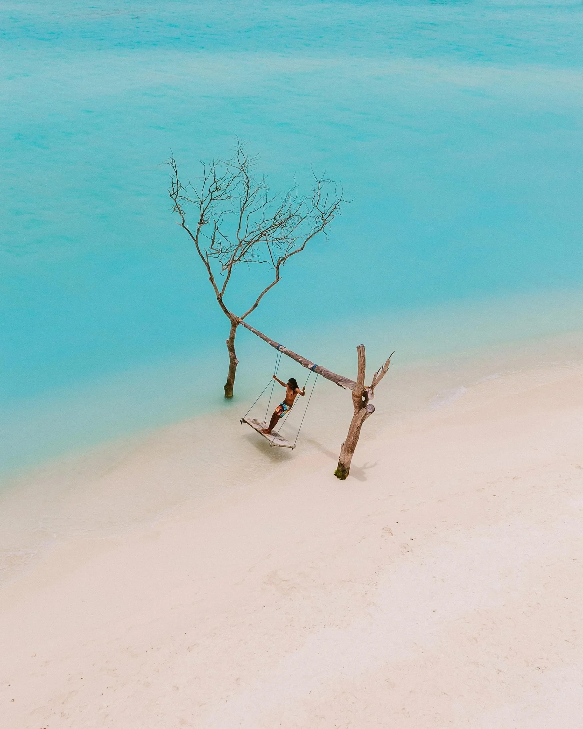Implementing Sustainability in Your Tourism and Hospitality Establishment