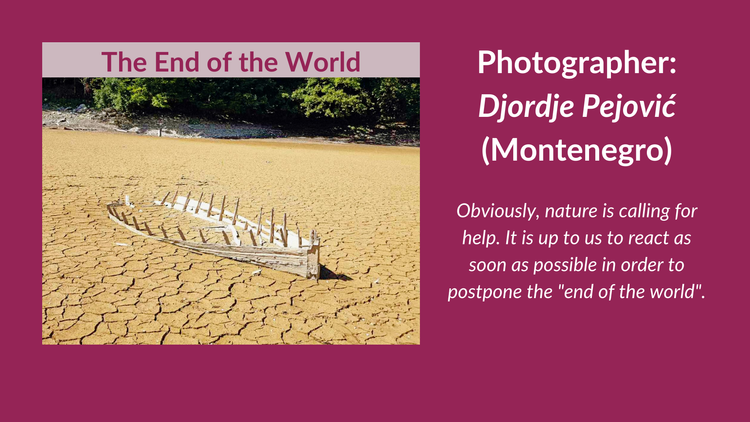 COP26_YREExhibition_7.png