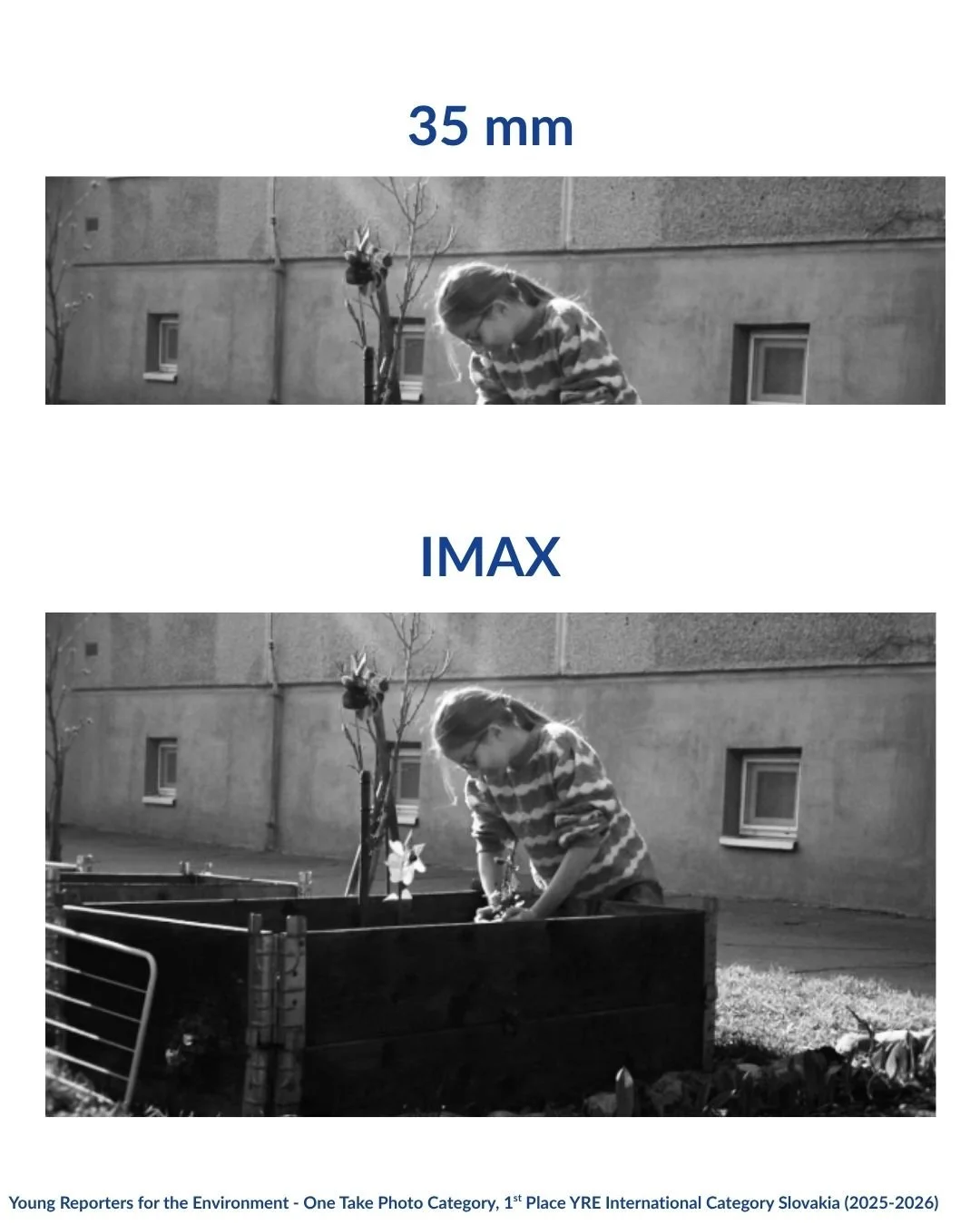 Some moments belong on 35mm.
Some deserve IMAX.

Luckily, the FEE network gives us both.

Here's a glimpse of the people, places and programmes creating positive change around the world.